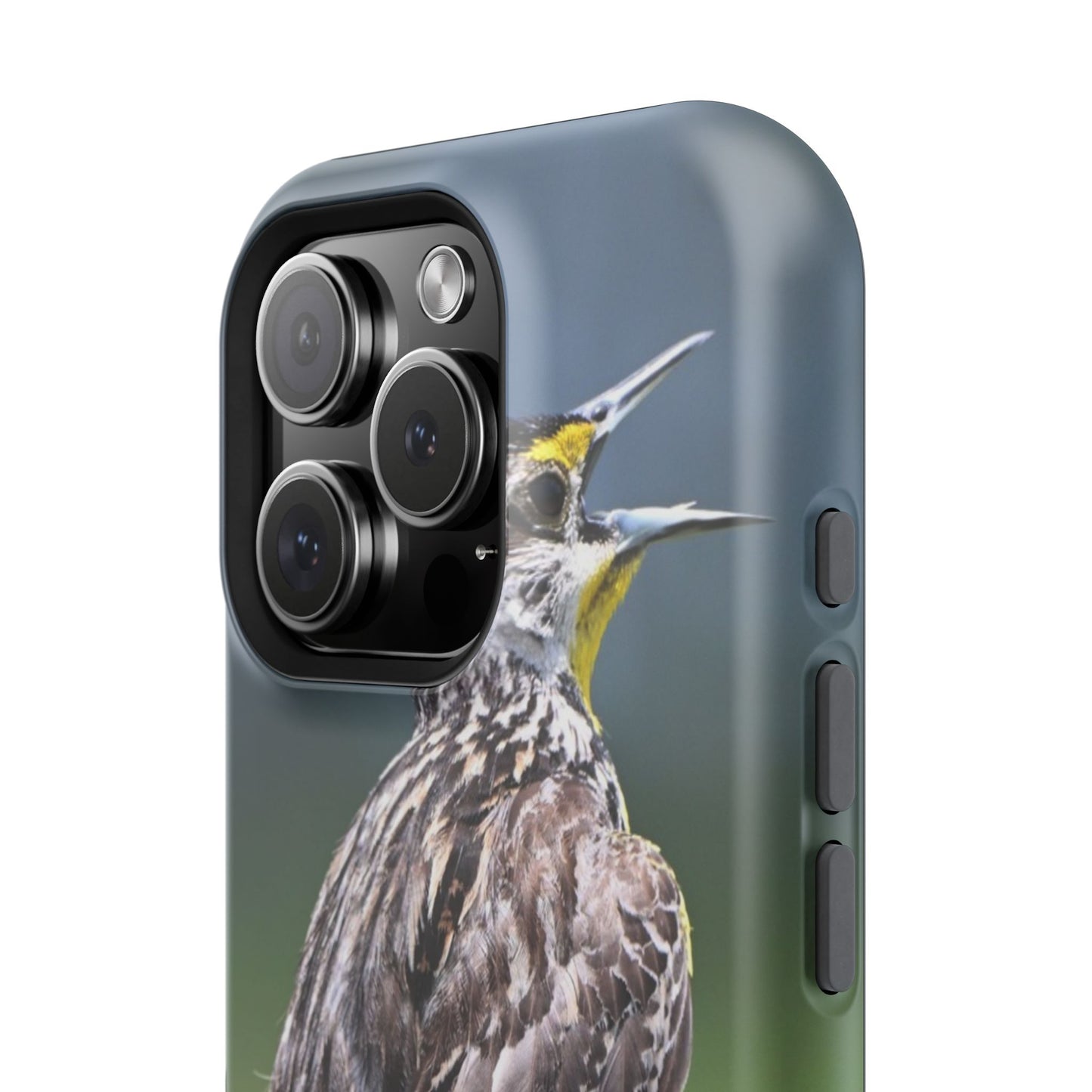 Bird-Themed Magnetic Tough Cases with 'Hello', Stylish Phone Protectors, Gifts for Nature Lovers, Birdwatching Accessories, Wildlife [...]