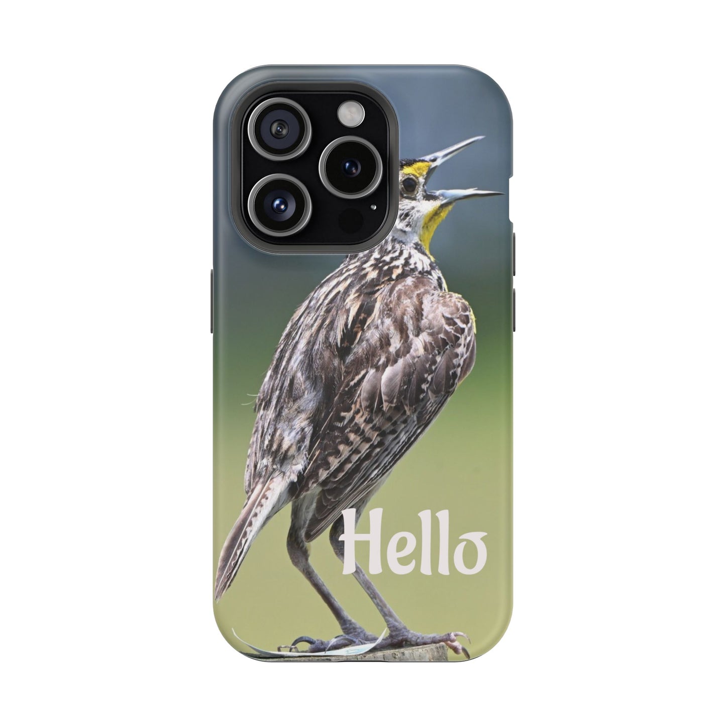Bird-Themed Magnetic Tough Cases with 'Hello', Stylish Phone Protectors, Gifts for Nature Lovers, Birdwatching Accessories, Wildlife [...]