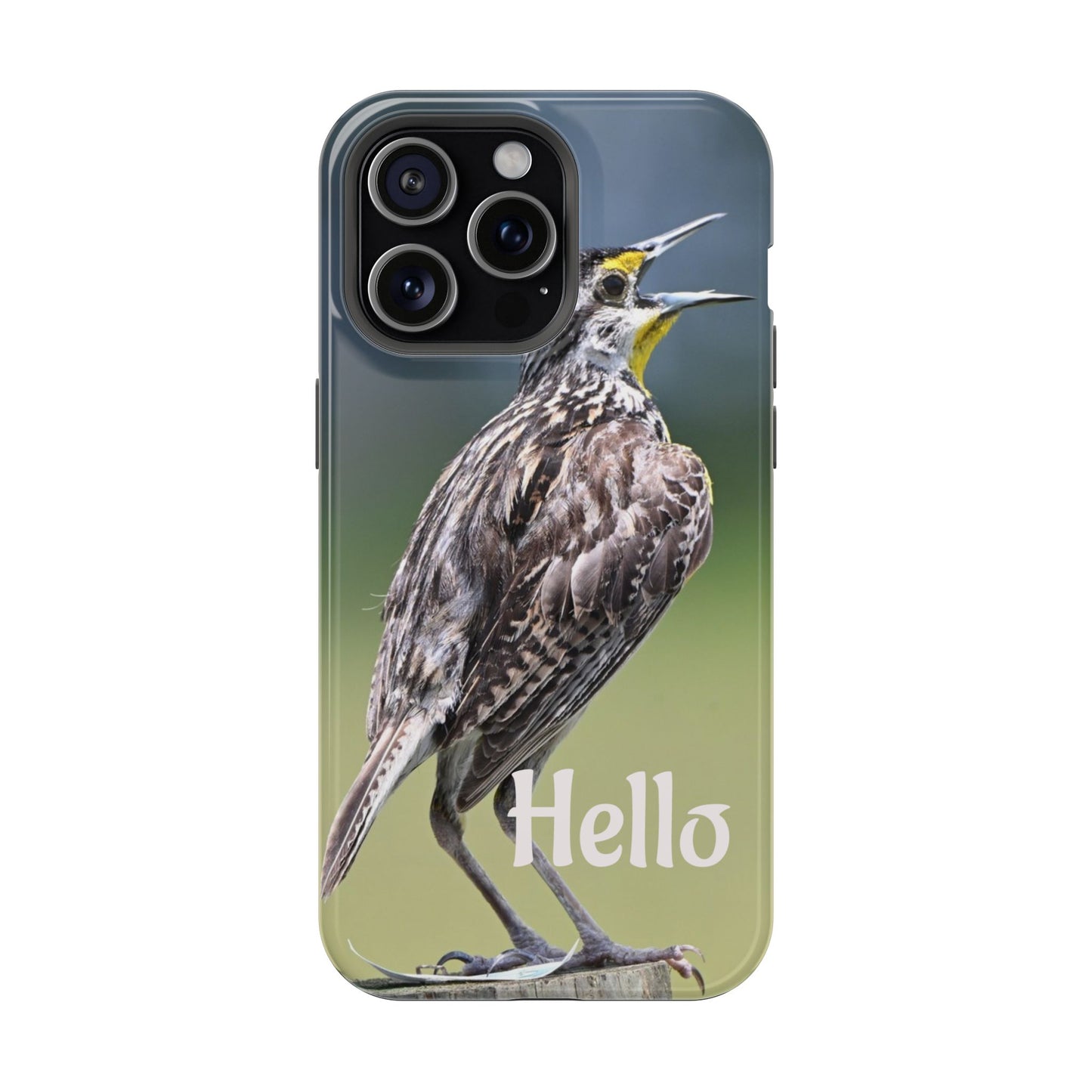 Bird-Themed Magnetic Tough Cases with 'Hello', Stylish Phone Protectors, Gifts for Nature Lovers, Birdwatching Accessories, Wildlife [...]