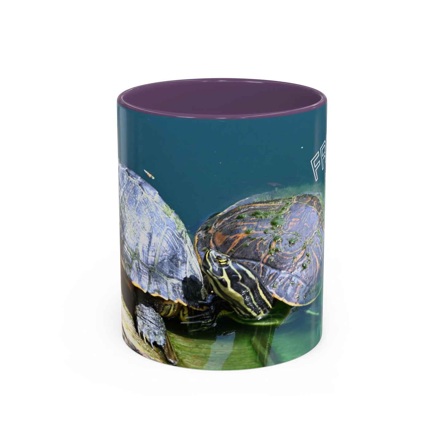 Friends Forever Turtle Accent Coffee Mug — 11/15oz Gift for Animal Lovers