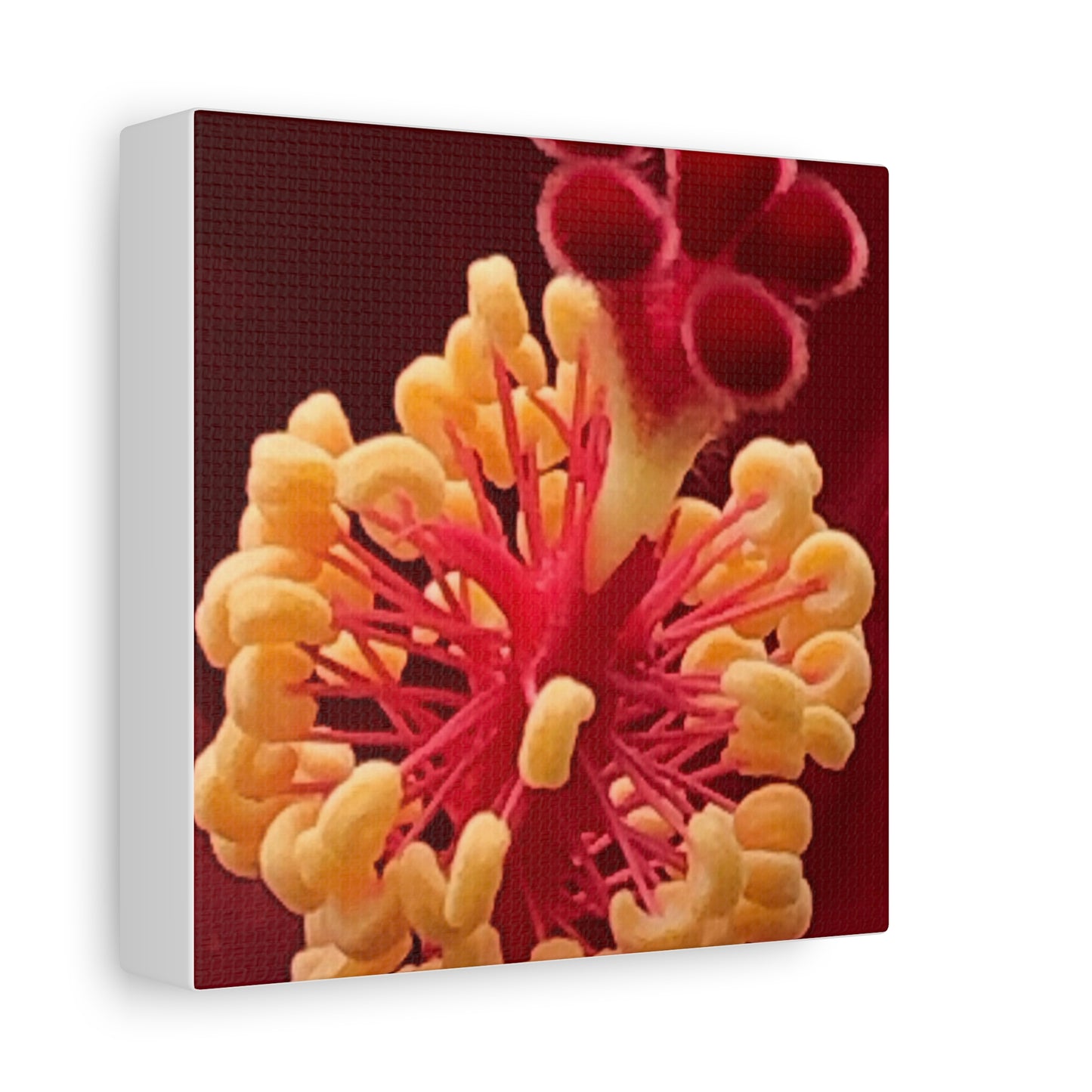 Floral Canvas Art Print, Stretched Wall Decor, Home Decor, Botanical Artwork, Modern Wall Art, Gift for Flower Lovers