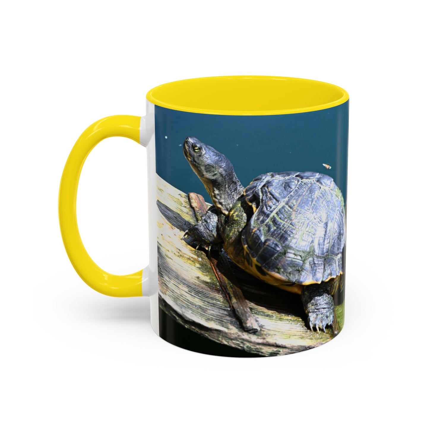Friends Forever Turtle Accent Coffee Mug — 11/15oz Gift for Animal Lovers