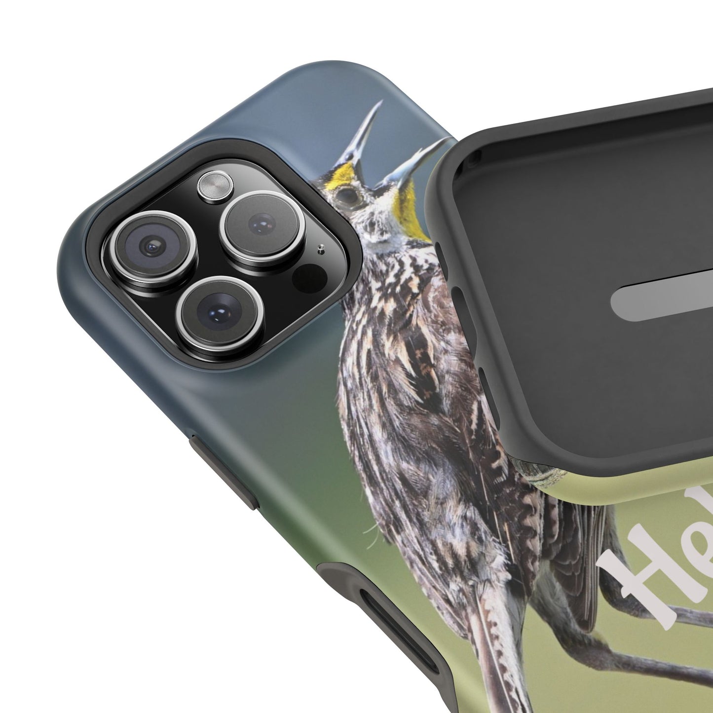 Bird-Themed Magnetic Tough Cases with 'Hello', Stylish Phone Protectors, Gifts for Nature Lovers, Birdwatching Accessories, Wildlife [...]