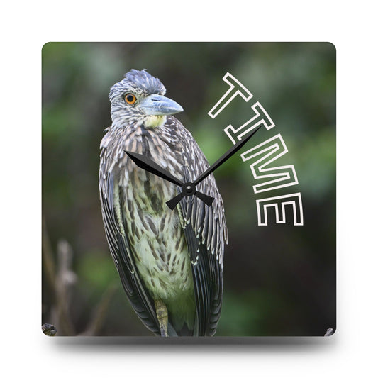 Acrylic Wall Clock — Bird Photo "TIME" Decorative Wall Clock for Nature Lovers