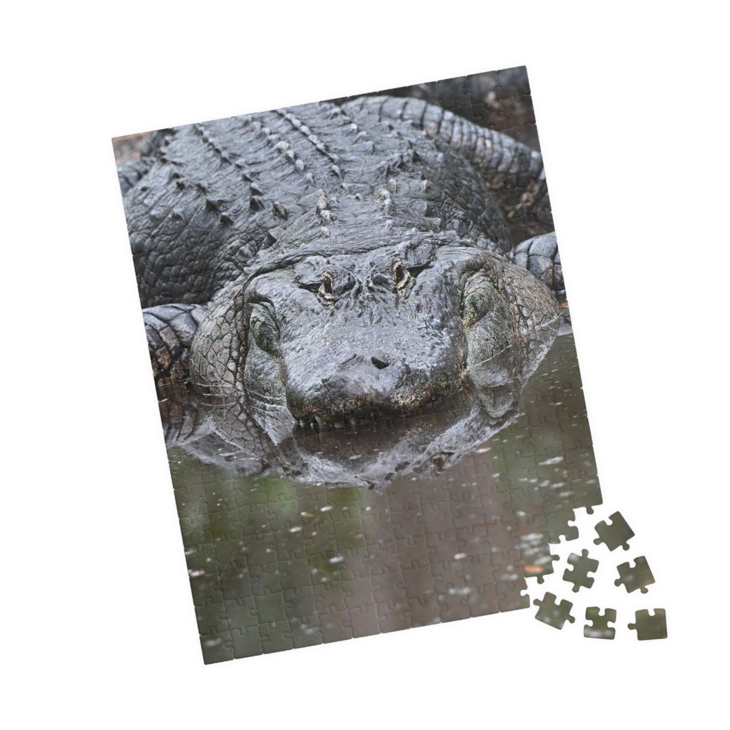 Alligator Puzzle - 110, 252, 520, 1014-Piece Jigsaw, Animal Lovers Gift, Family Game Night, Nature Decor, Unique Home Activity
