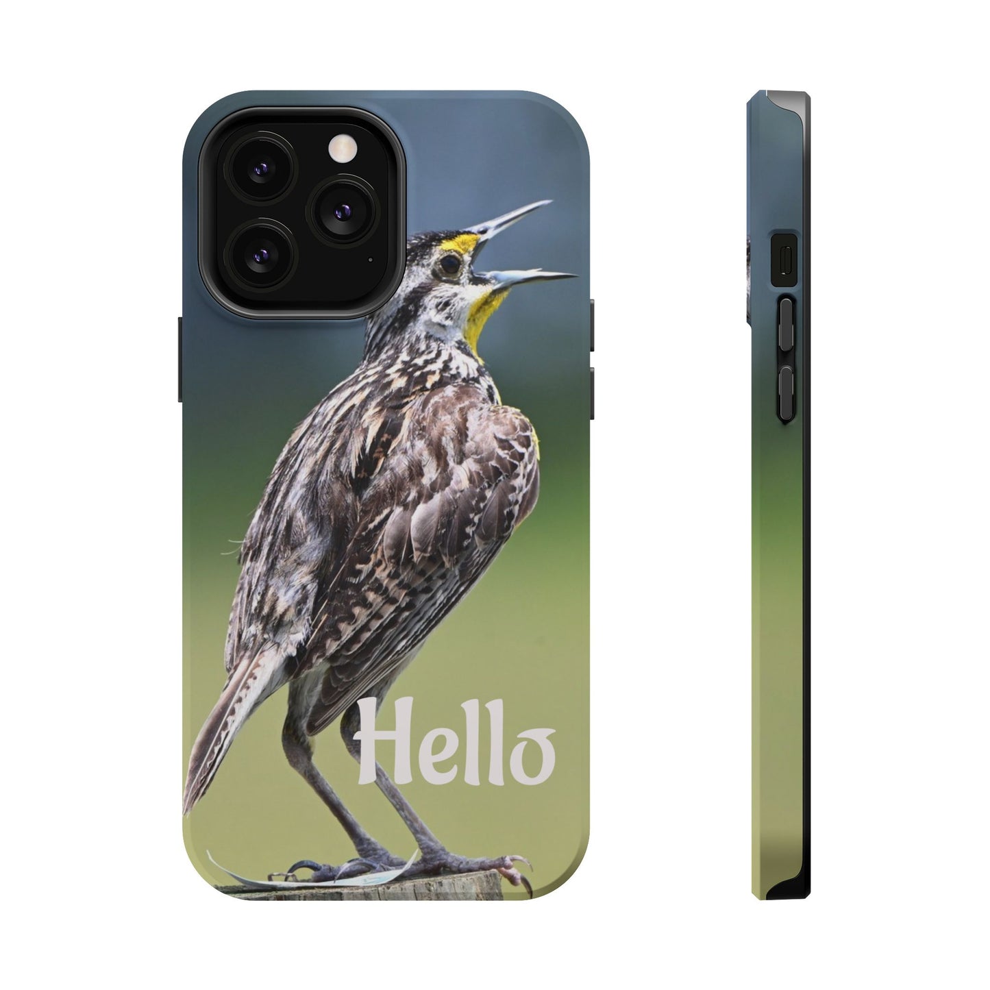 Bird-Themed Magnetic Tough Cases with 'Hello', Stylish Phone Protectors, Gifts for Nature Lovers, Birdwatching Accessories, Wildlife [...]