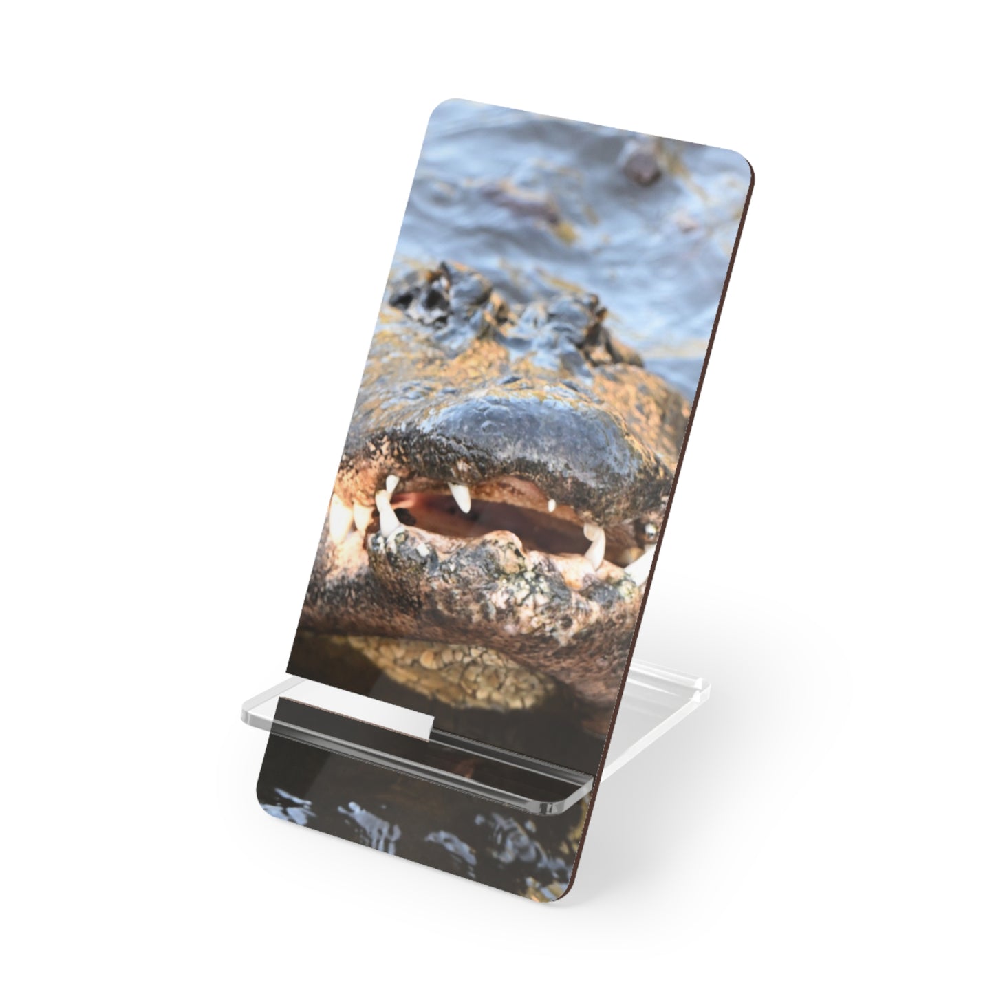 Acrylic Phone Stand with Alligator Photo – Wildlife Smartphone Display