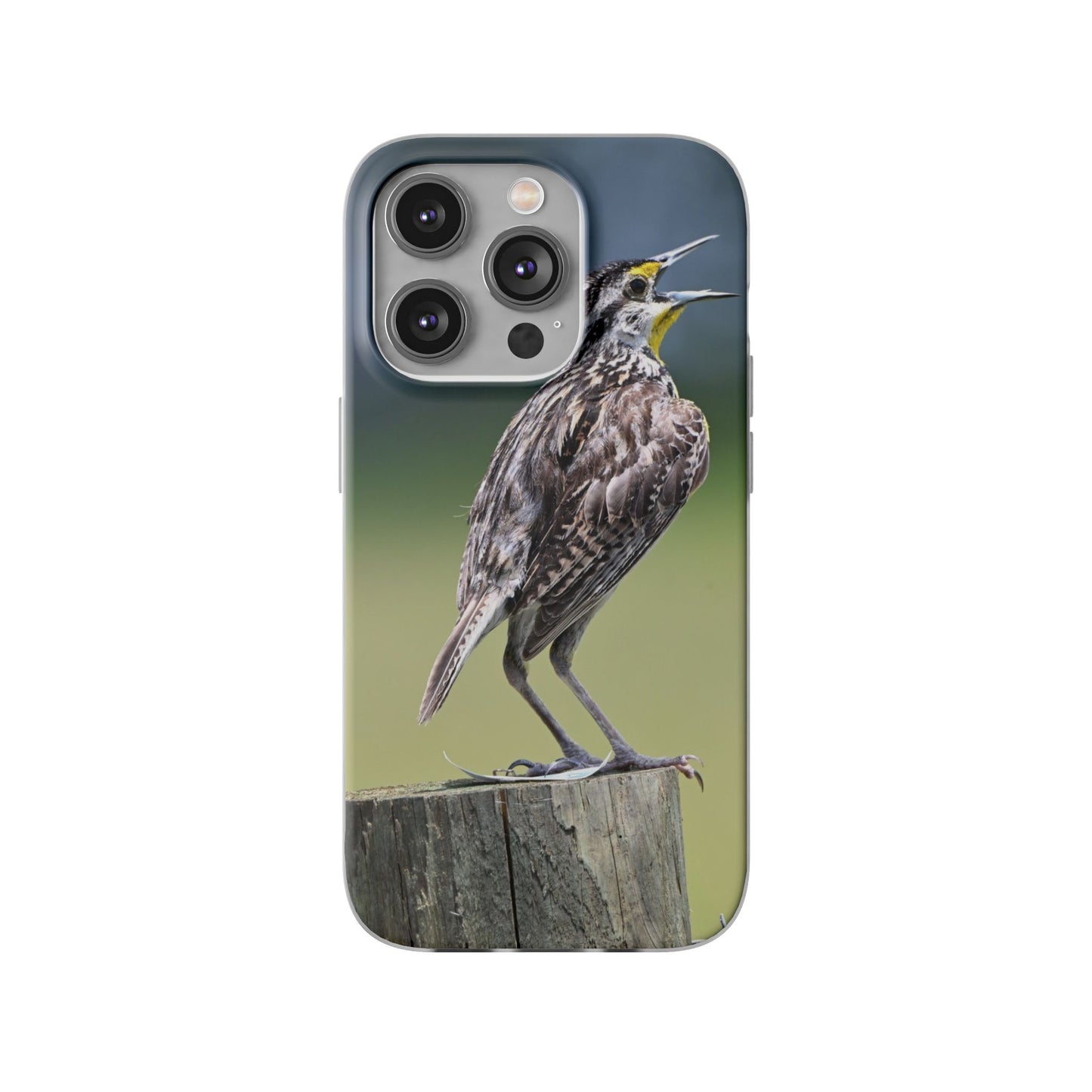 Singing Meadowlark Phone Case – Nature Bird Photo Flexi Case