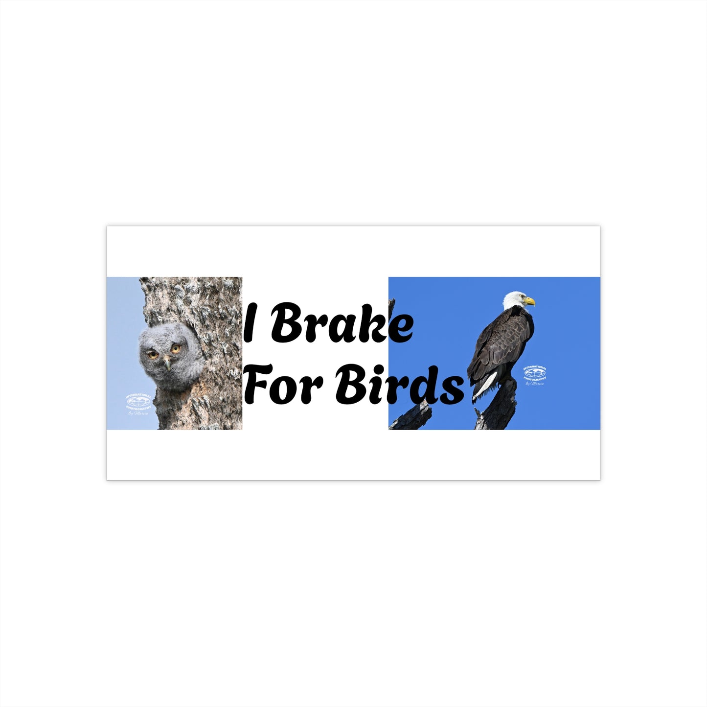 Funny Bumper Stickers for Bird Lovers, Eco-Friendly Car Decals, Wildlife Enthusiast Gifts, I Brake For Birds, Nature-Inspired Car [...]