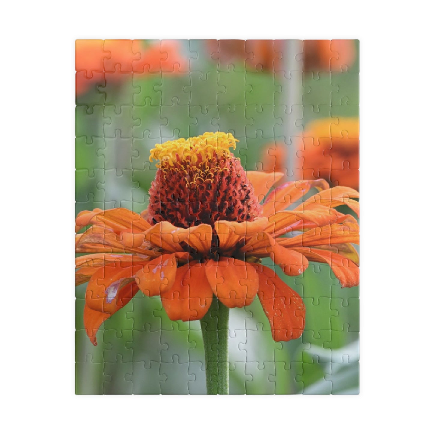 Zinnia Bloom Jigsaw Puzzle — 110/252/520/1014-Piece Floral Puzzle for Relaxation & Gifts