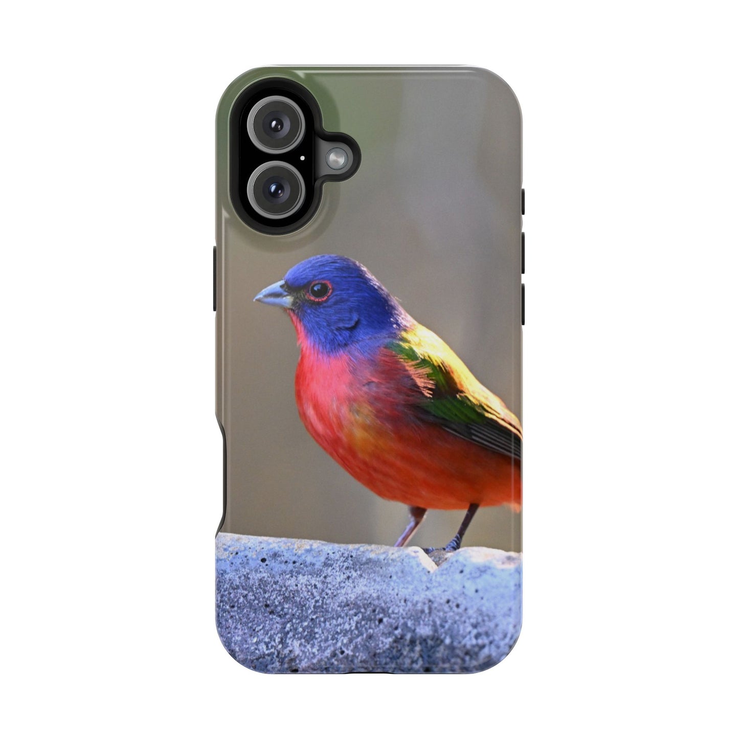 Colorful Bird Phone Case, Magnetic Tough Cases, Nature Lover Gift, Wildlife Phone Cover, Eco-Friendly Tech Accessories