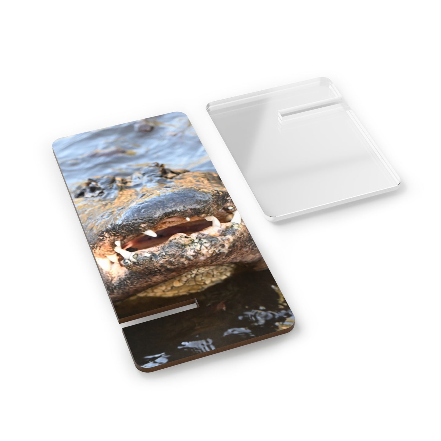 Acrylic Phone Stand with Alligator Photo – Wildlife Smartphone Display