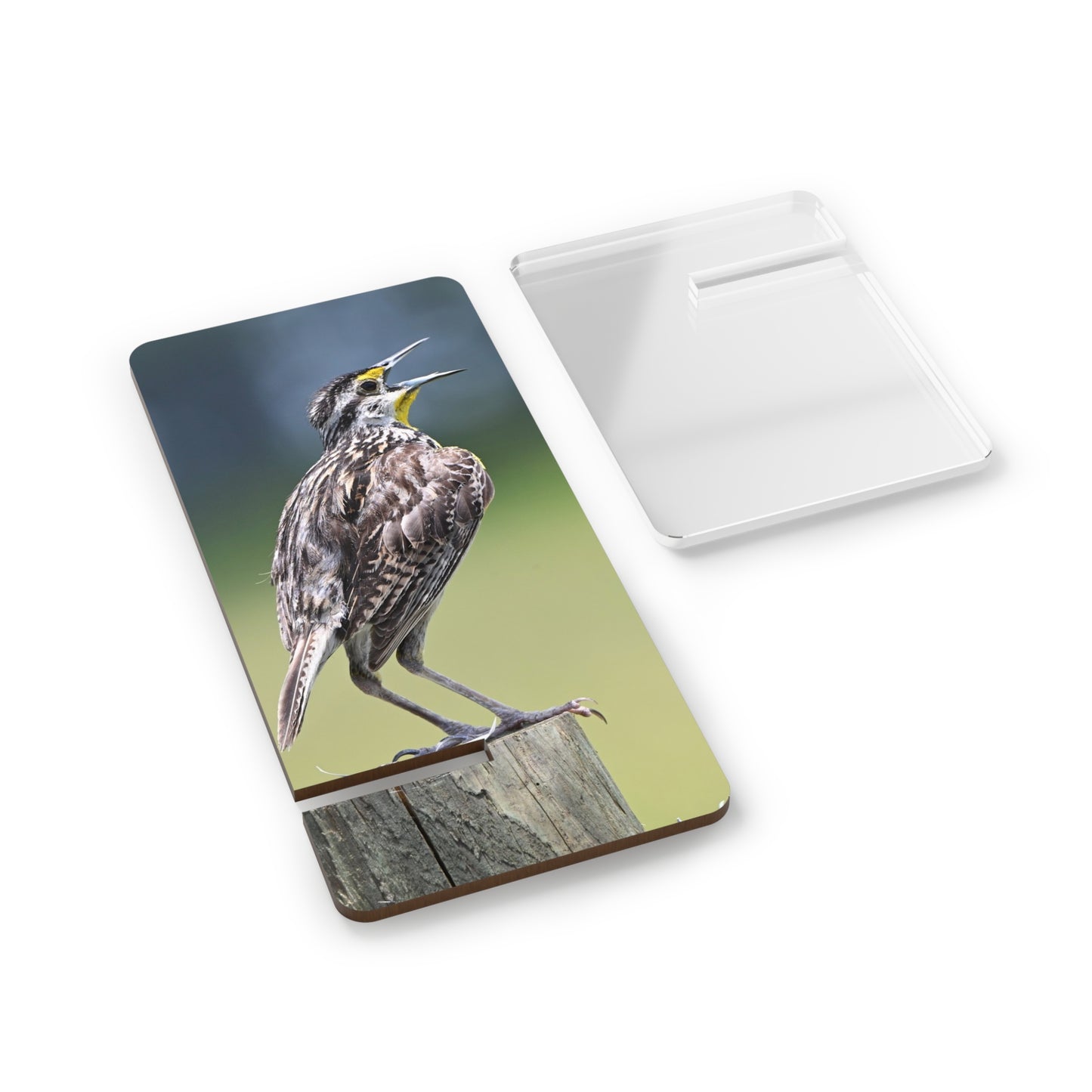 Singing Meadowlark Smartphone Stand — Clear Mobile Display Stand