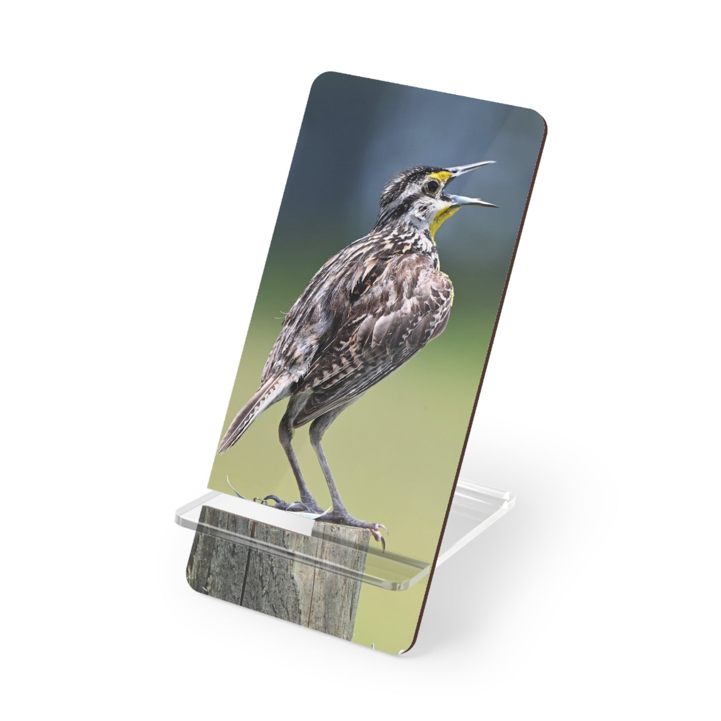 Phone Stand – Meadowlark Smartphone Display Stand (Bird Photography Design)