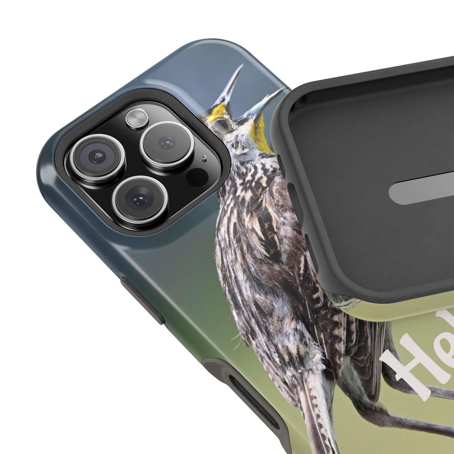 Bird-Themed Magnetic Tough Cases with 'Hello', Stylish Phone Protectors, Gifts for Nature Lovers, Birdwatching Accessories, Wildlife [...]
