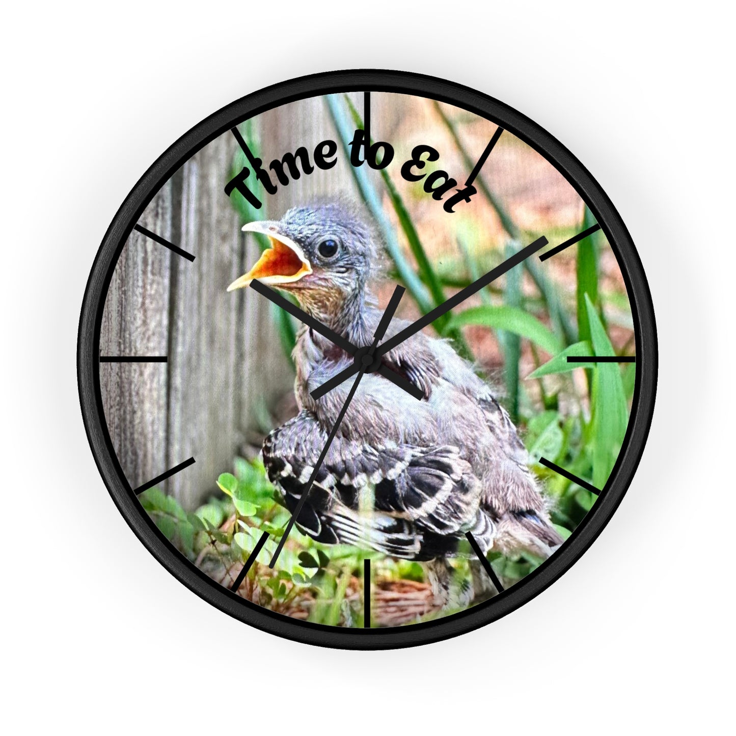 Nature-Inspired Wall Clock, Time to Eat Bird Clock, Home Decor for Bird Lovers, Gift for Nature Enthusiasts, Unique Wall Art