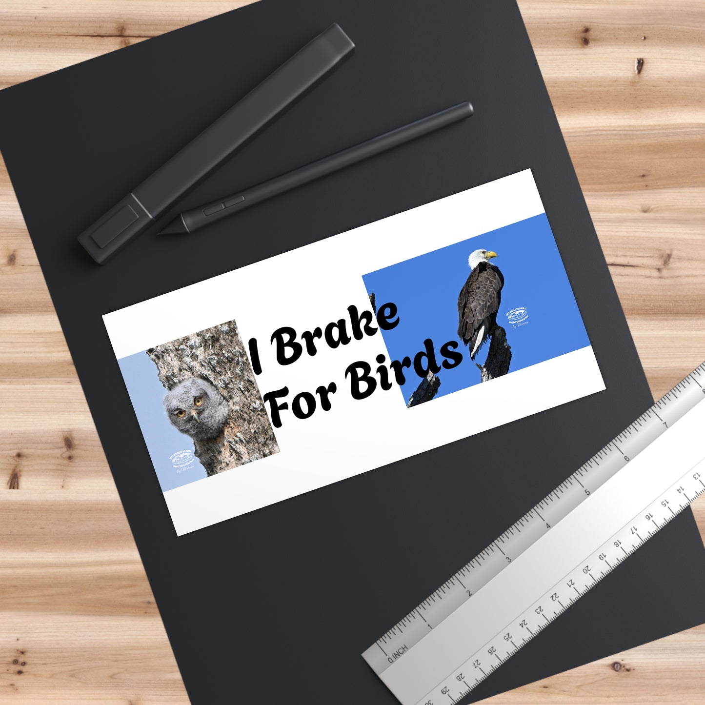 Funny Bumper Stickers for Bird Lovers, Eco-Friendly Car Decals, Wildlife Enthusiast Gifts, I Brake For Birds, Nature-Inspired Car [...]