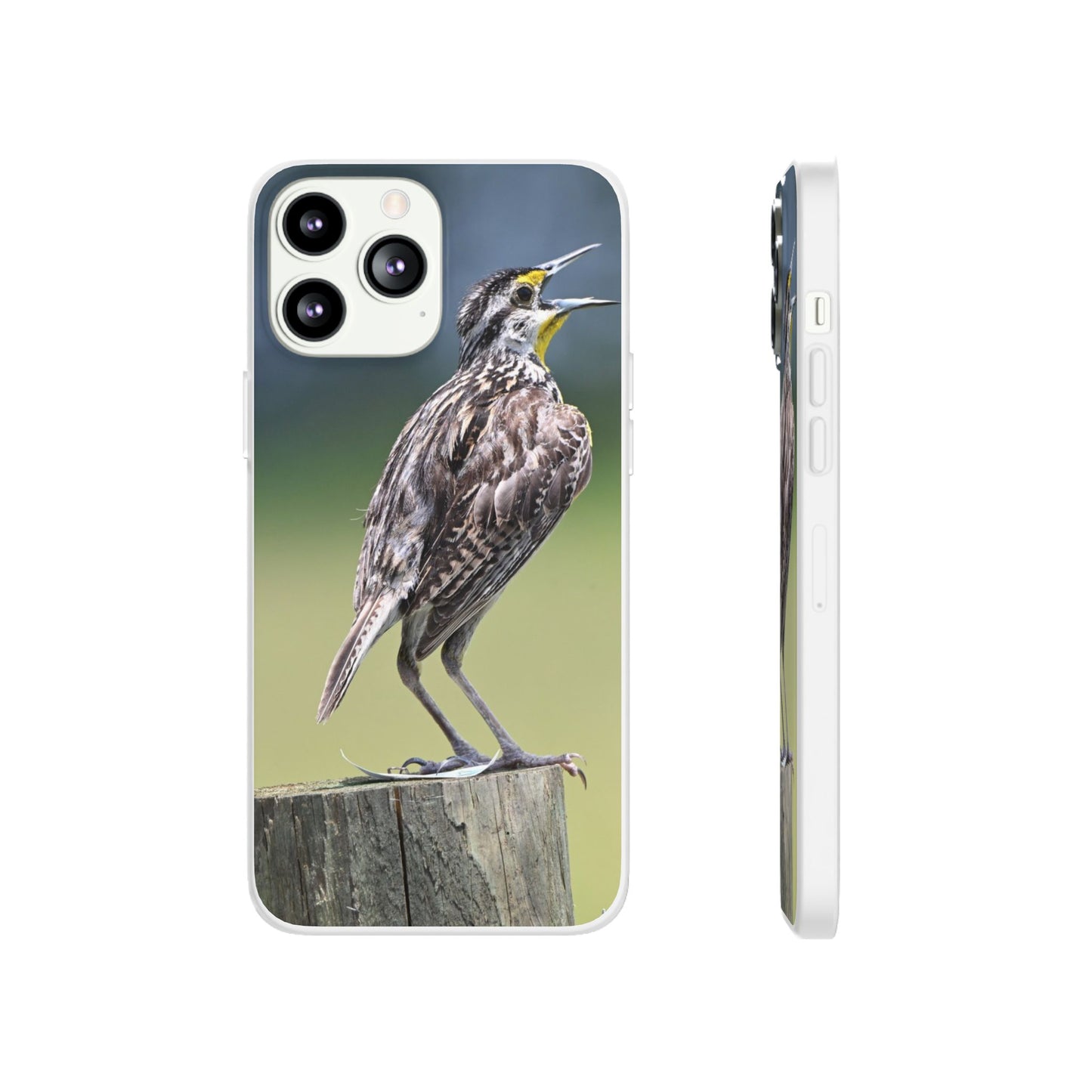 Singing Meadowlark Phone Case – Nature Bird Photo Flexi Case