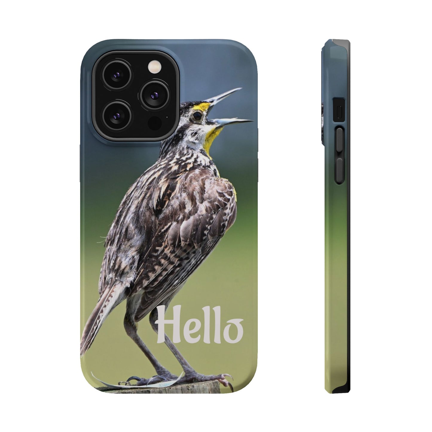Bird-Themed Magnetic Tough Cases with 'Hello', Stylish Phone Protectors, Gifts for Nature Lovers, Birdwatching Accessories, Wildlife [...]