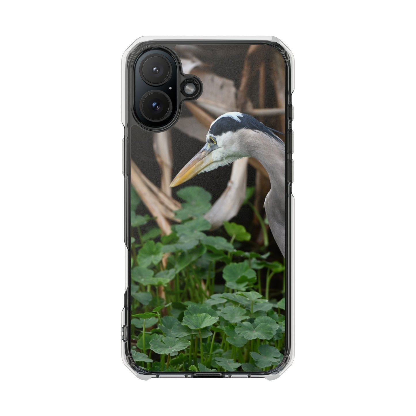 Great Blue Heron Phone Case with Clear Impact Design, Gift for Nature Lovers, Unique Phone Accessory, Protective Case, Bird Enthusiast Gift