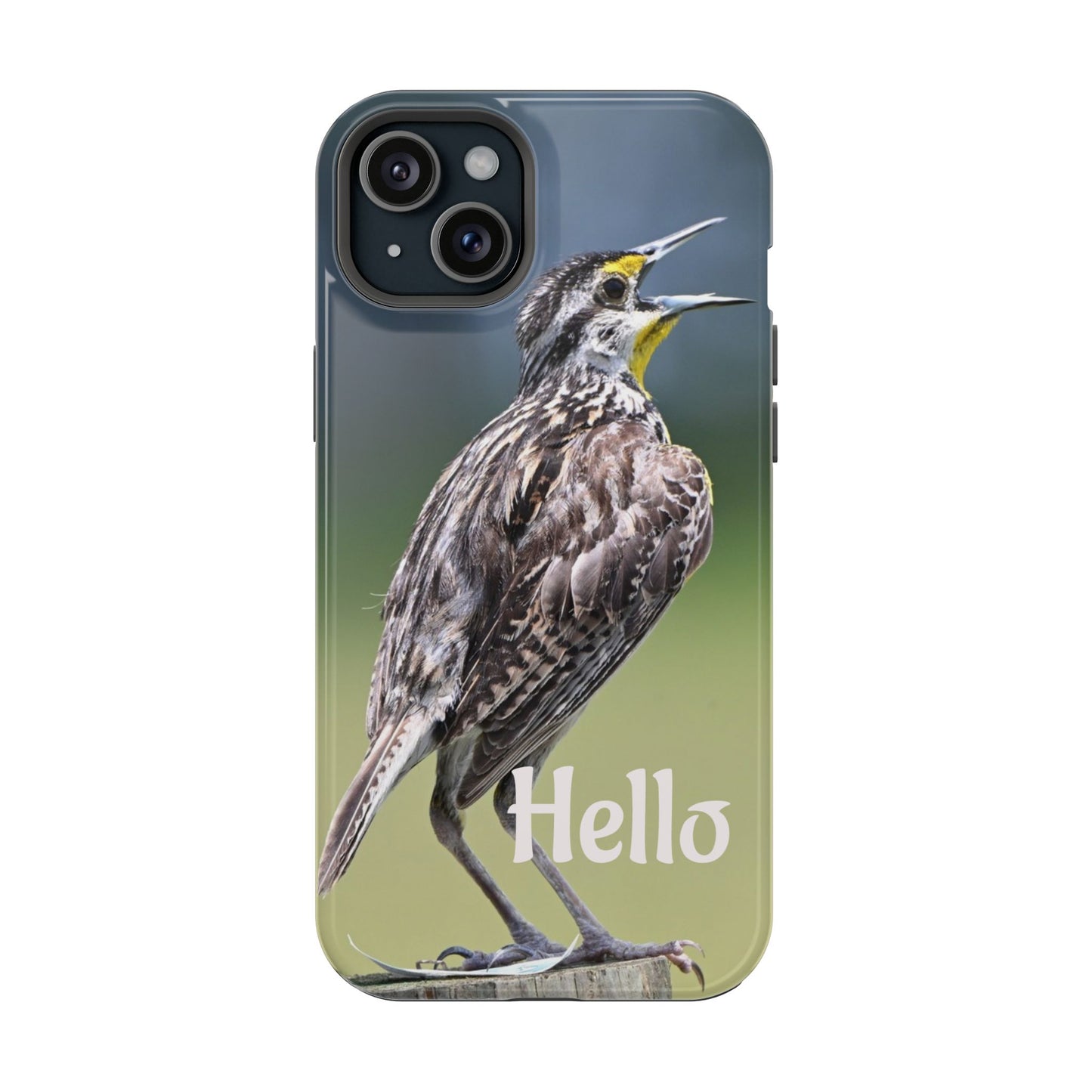 Bird-Themed Magnetic Tough Cases with 'Hello', Stylish Phone Protectors, Gifts for Nature Lovers, Birdwatching Accessories, Wildlife [...]