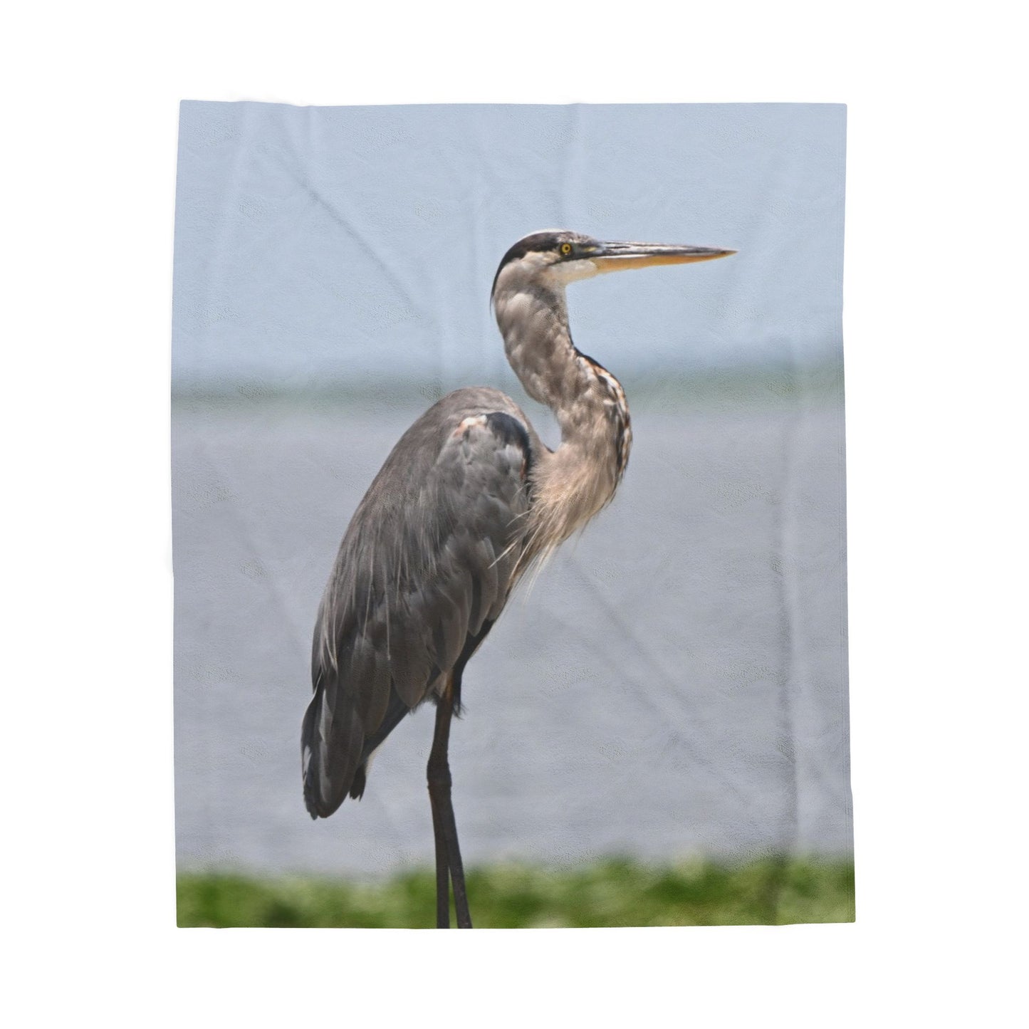 Great Blue Heron Velveteen Plush Blanket — Cozy Wildlife Photo Throw