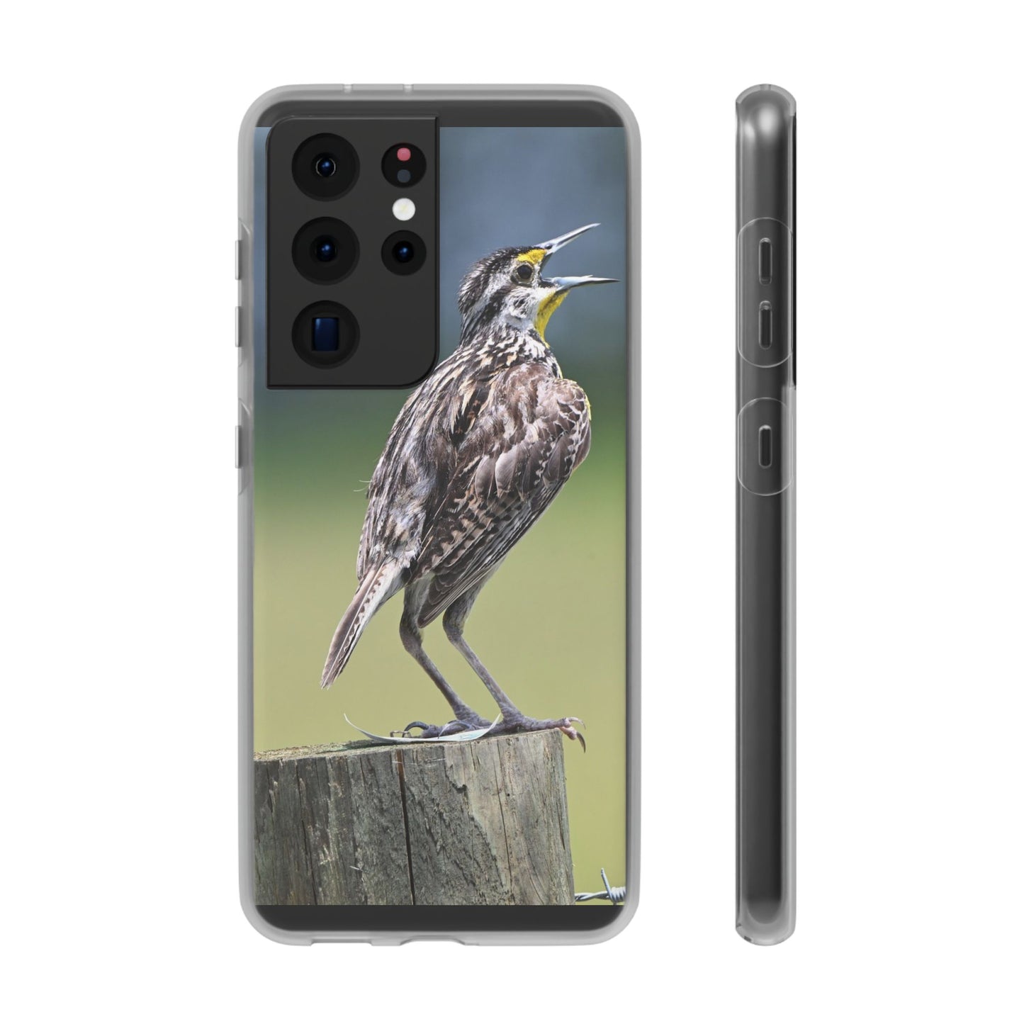 Singing Meadowlark Phone Case – Nature Bird Photo Flexi Case