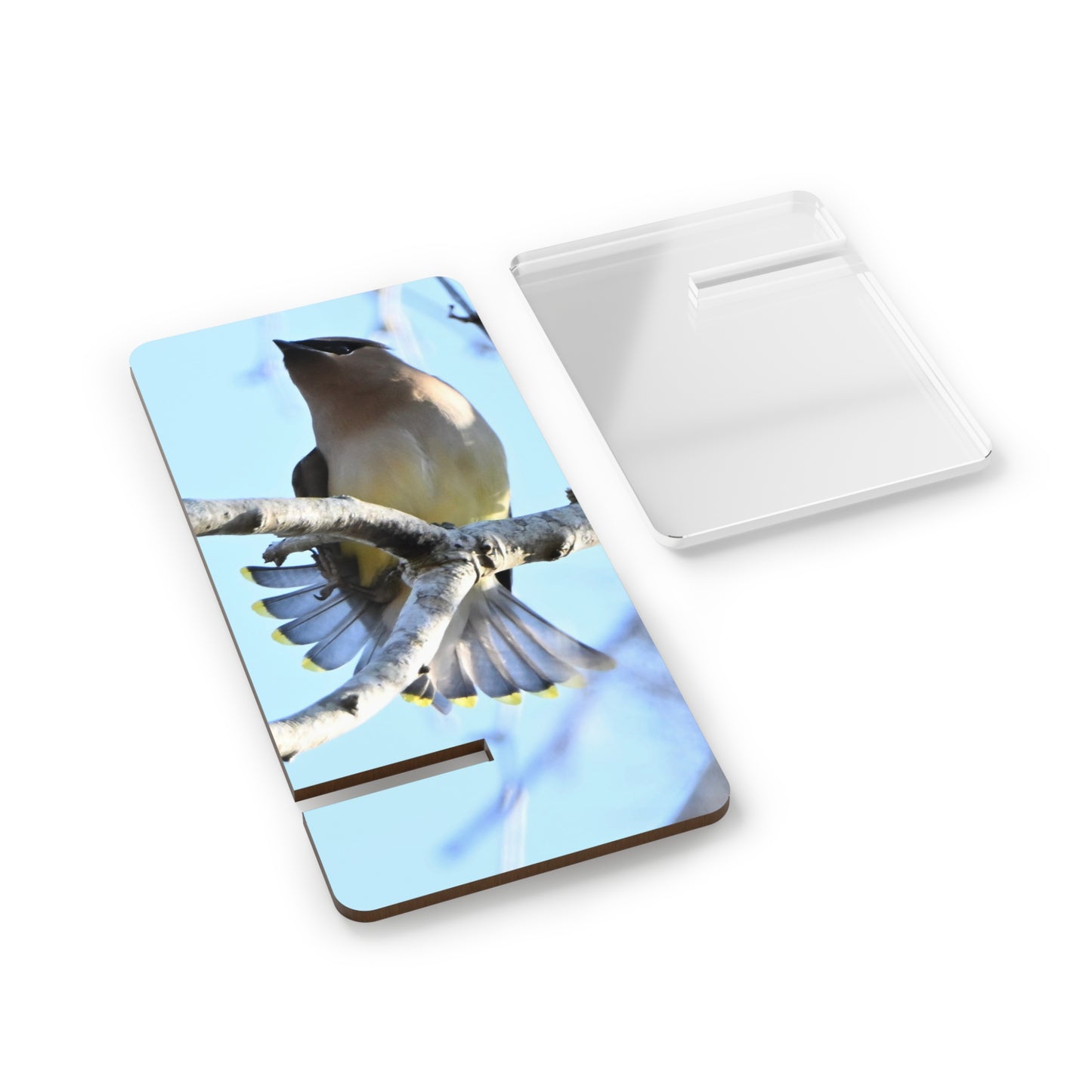 Acrylic Phone Stand with Cedar Waxwing Bird Photo — Decorative Mobile Display Stand