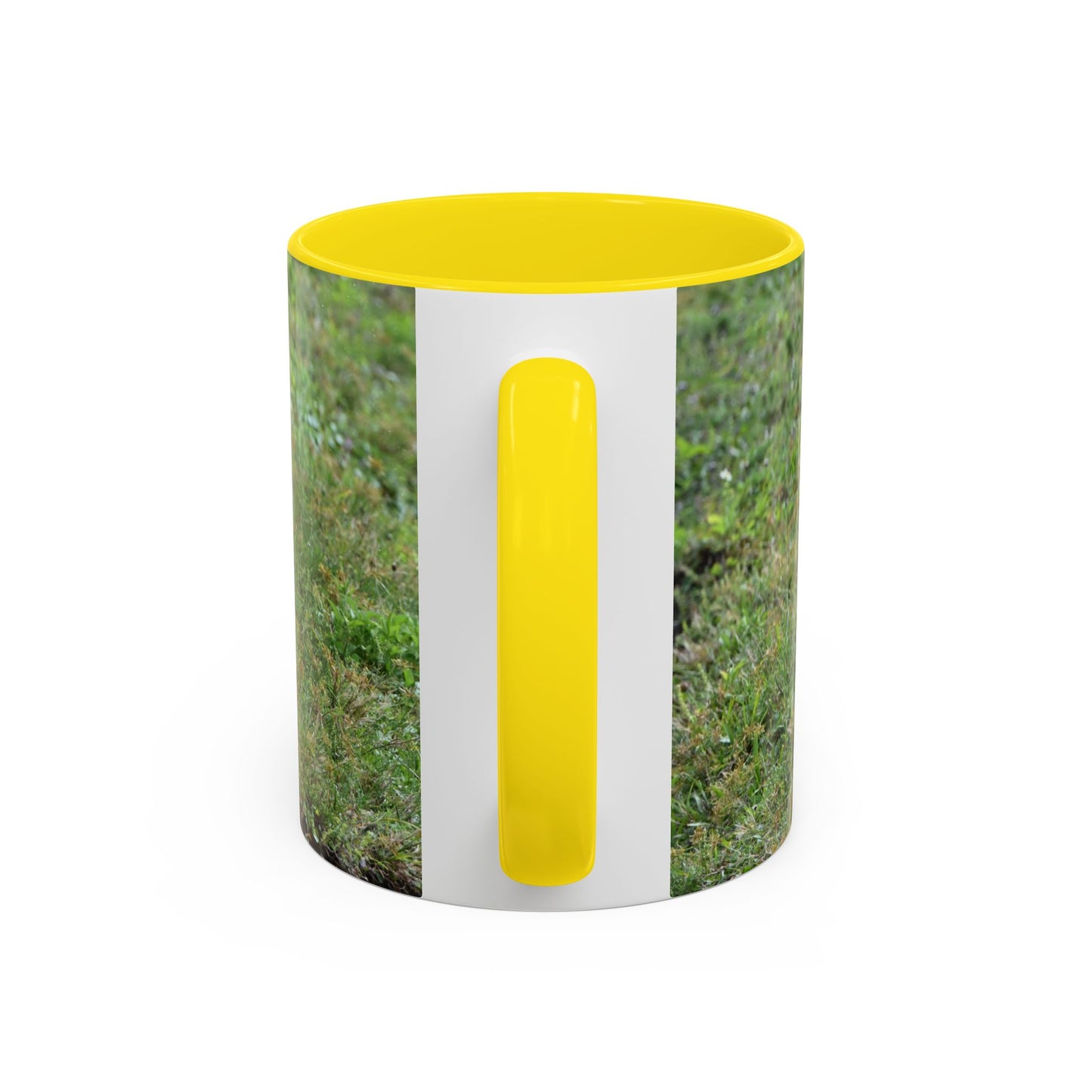 Where's My Coffee? Accent Coffee Mug – Funny Crow Bird Coffee Cup (11/15oz)