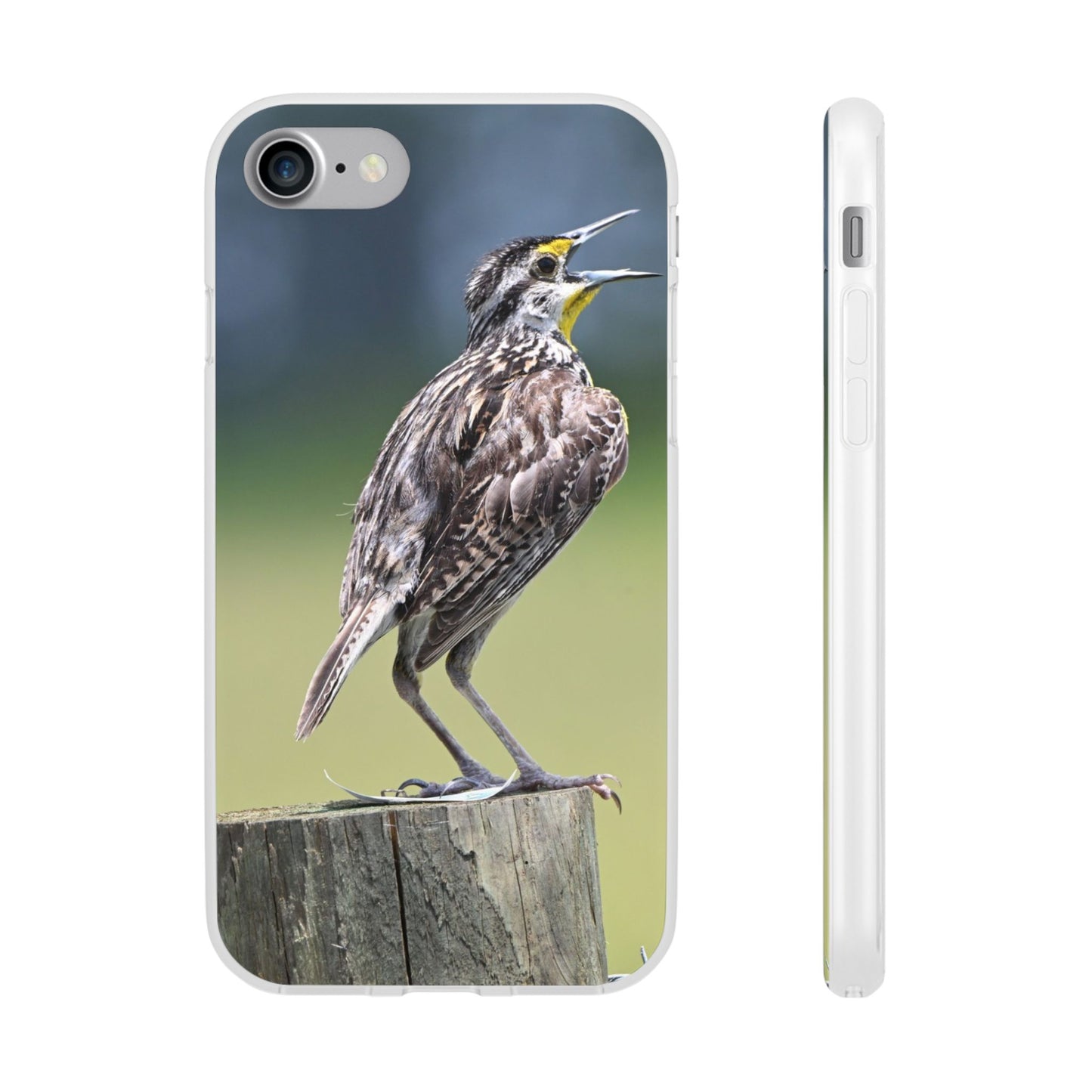 Singing Meadowlark Phone Case – Nature Bird Photo Flexi Case