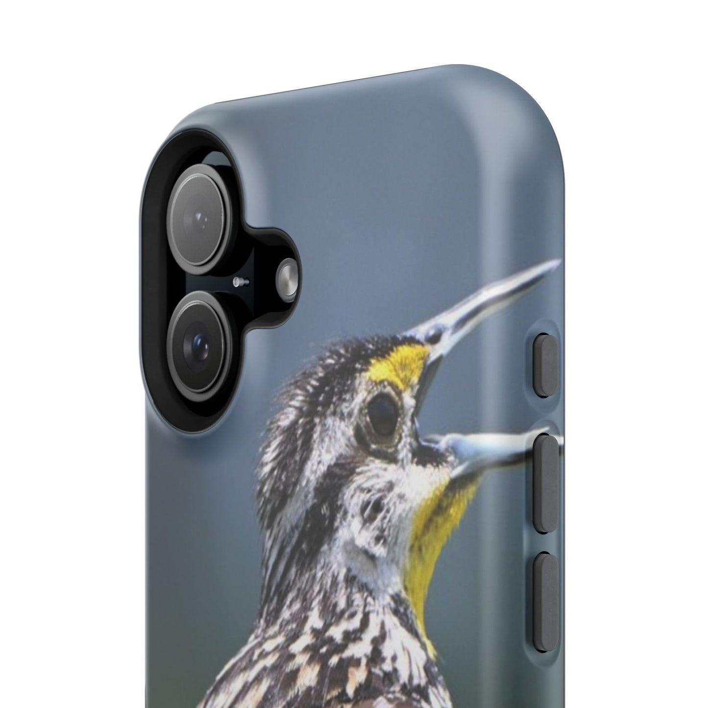 Western Meadowlark Photo Phone Case — Impact-Resistant Protective Cover