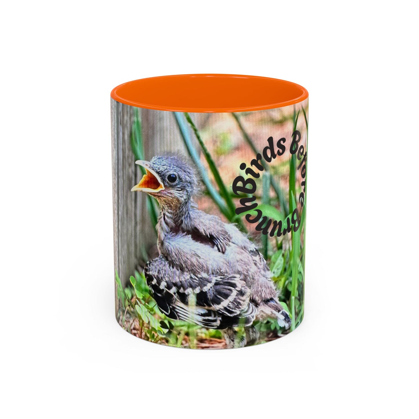 Charming Bird-Themed Coffee Mug, Perfect Gift for Bird Lovers, Nature Enthusiasts, Birdwatching, Home Decor, Birthday Present