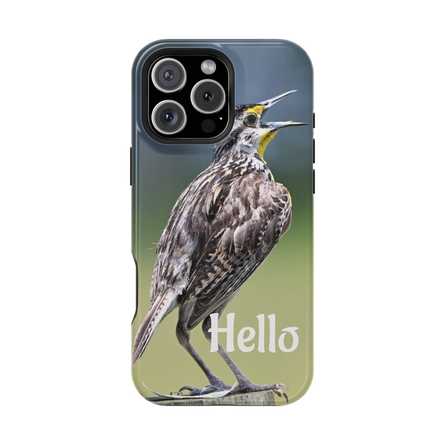 Bird-Themed Magnetic Tough Cases with 'Hello', Stylish Phone Protectors, Gifts for Nature Lovers, Birdwatching Accessories, Wildlife [...]