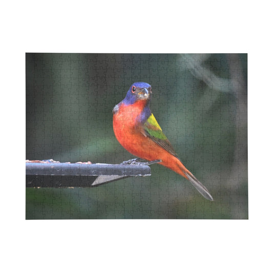 Vibrant Bird Puzzle - 96, 252, 500, or 1000 Pieces | Nature Jigsaw for Bird Lovers, Family Game Night, Educational Fun, Gift Idea