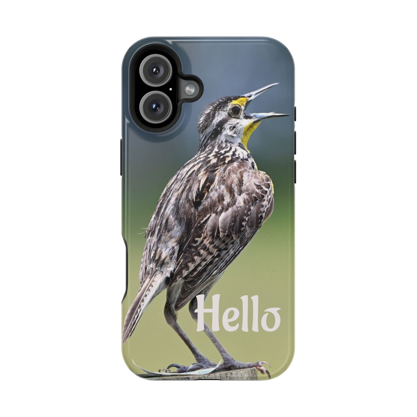 Bird-Themed Magnetic Tough Cases with 'Hello', Stylish Phone Protectors, Gifts for Nature Lovers, Birdwatching Accessories, Wildlife [...]