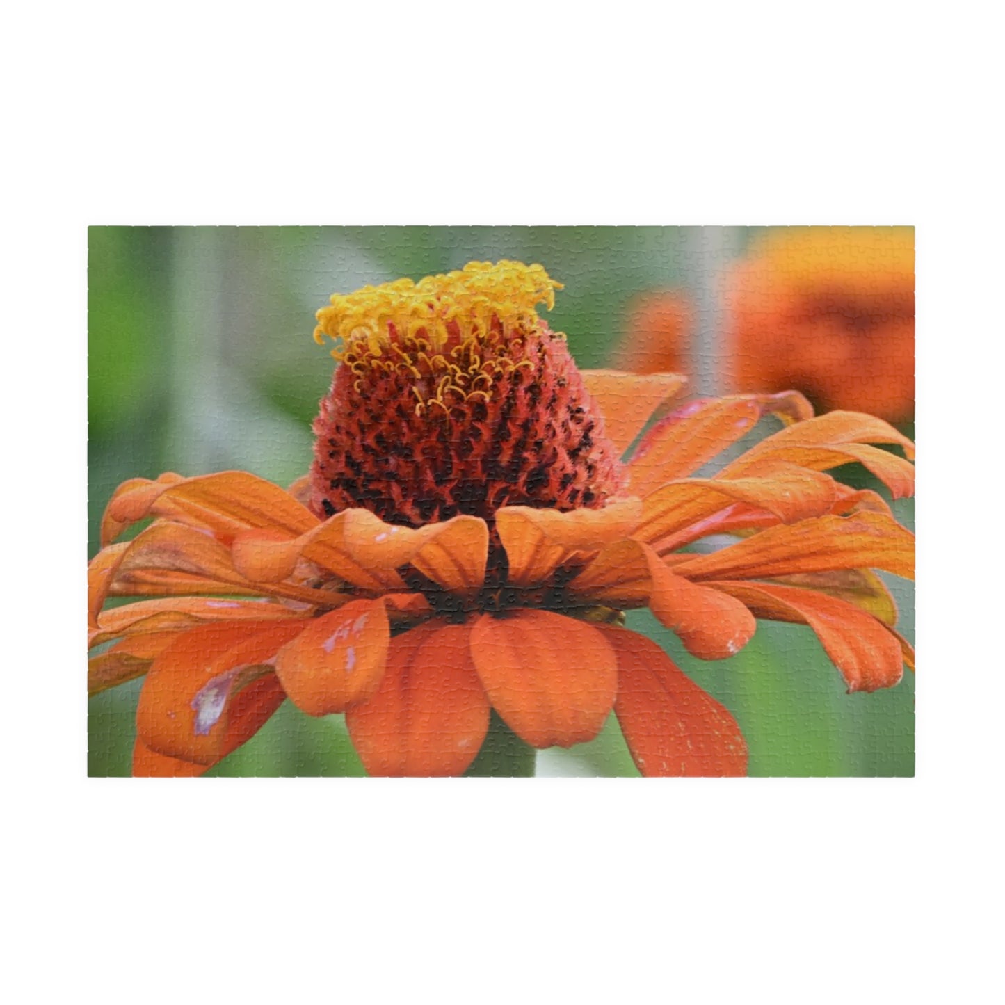 Zinnia Bloom Jigsaw Puzzle — 110/252/520/1014-Piece Floral Puzzle for Relaxation & Gifts