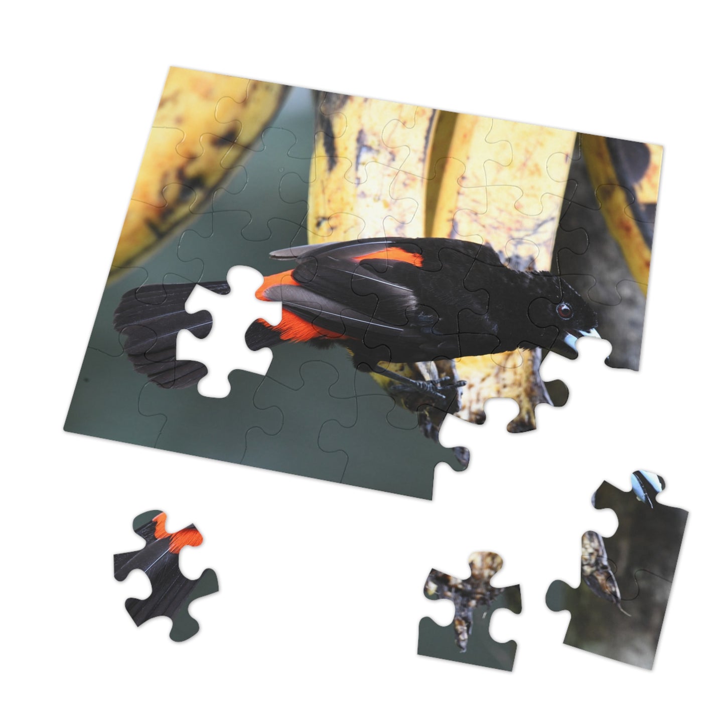 Bird-Themed Jigsaw Puzzle with Tin - Perfect Gift for Nature Lovers, Family Game Night, Eco-Friendly Home Decor, Educational Activity.