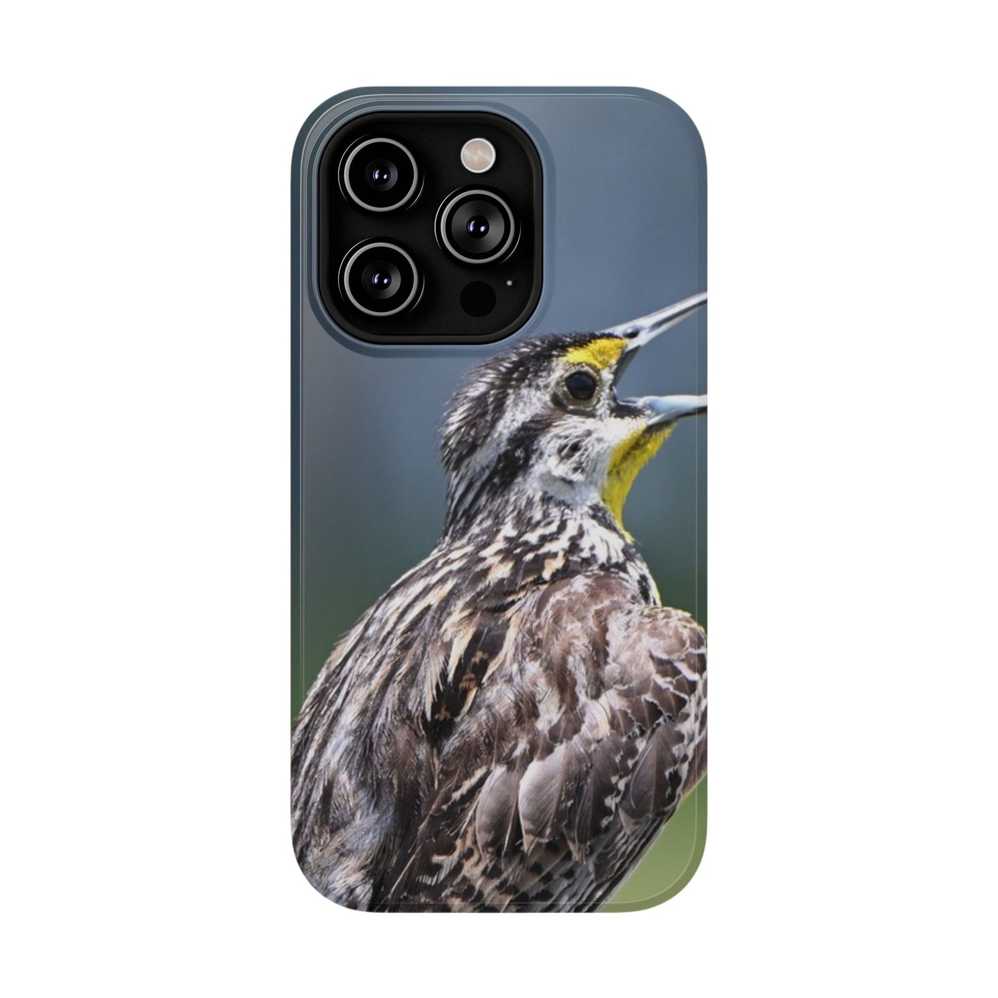 Western Meadowlark Photo Phone Case — Impact-Resistant Protective Cover