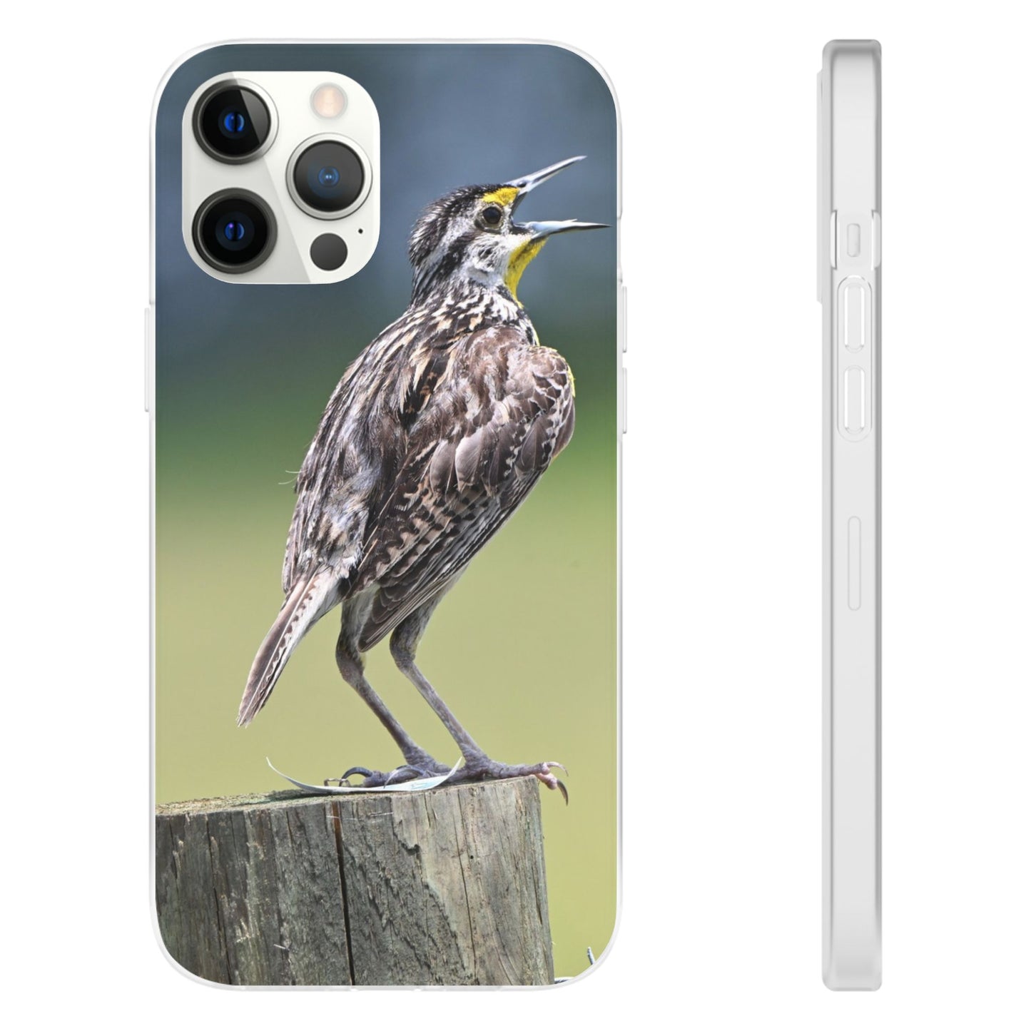 Singing Meadowlark Phone Case – Nature Bird Photo Flexi Case