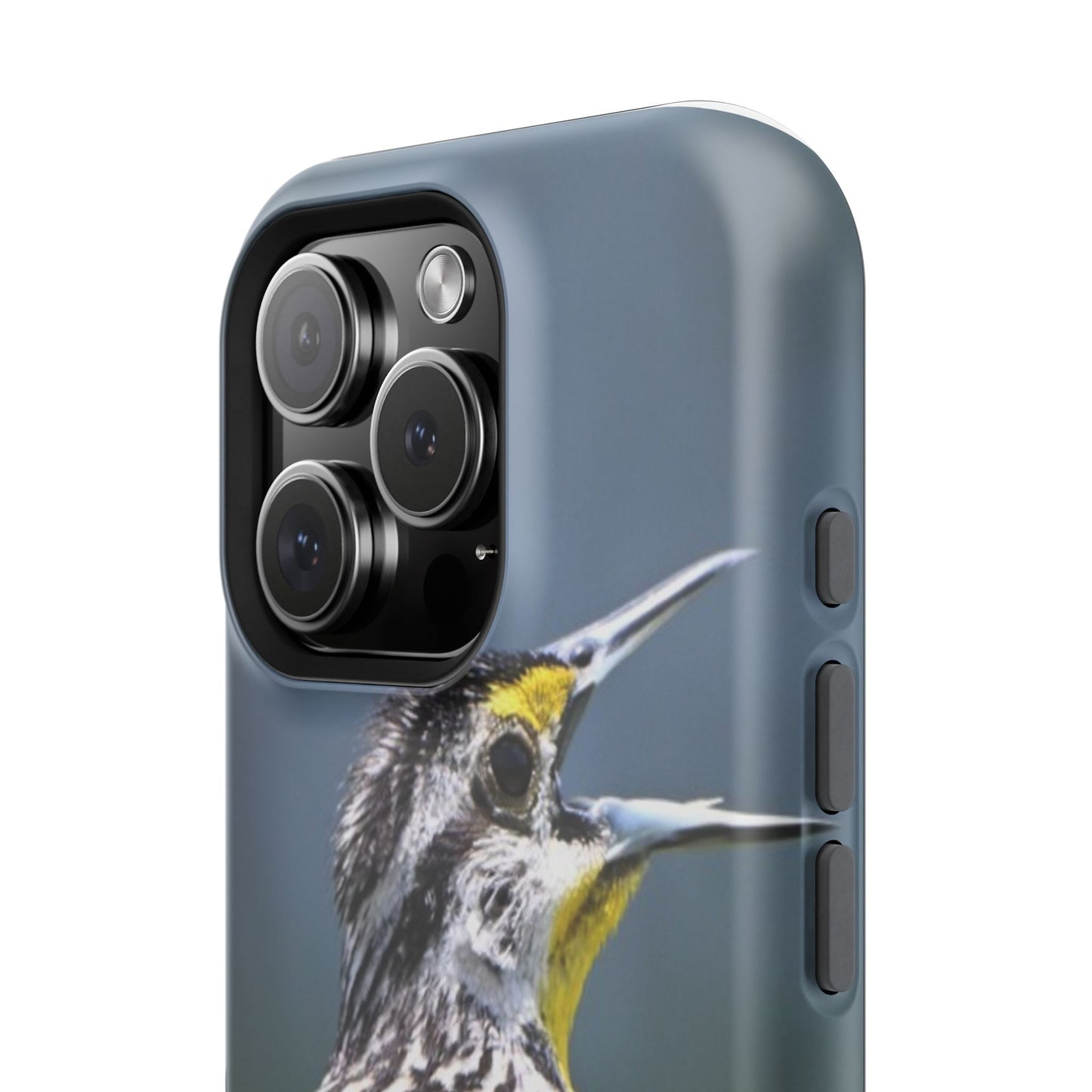 Western Meadowlark Photo Phone Case — Impact-Resistant Protective Cover