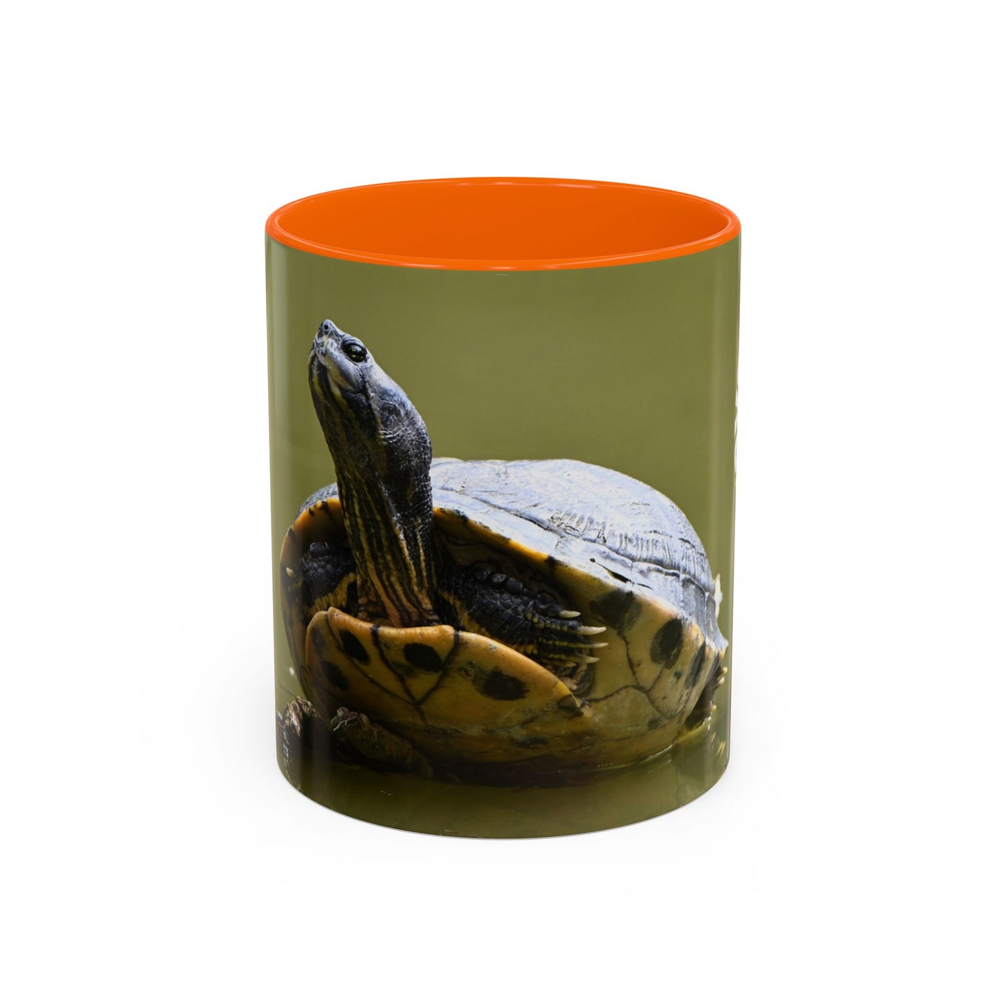 Turtle Coffee Mug — "Always Keep Your Head Up" Inspirational Accent Mug (11/15 oz)