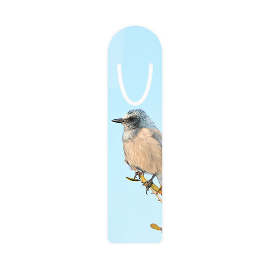 Bird Illustration Bookmark — Blue Jay Art Bookmark for Book Lovers