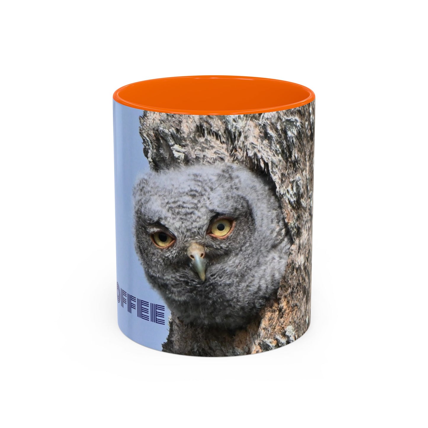 Accent Coffee Mug with Owl Design, Perfect Gift for Coffee Lovers, Home Office Decor, Nature Enthusiast Gift, Animal Lover Mug