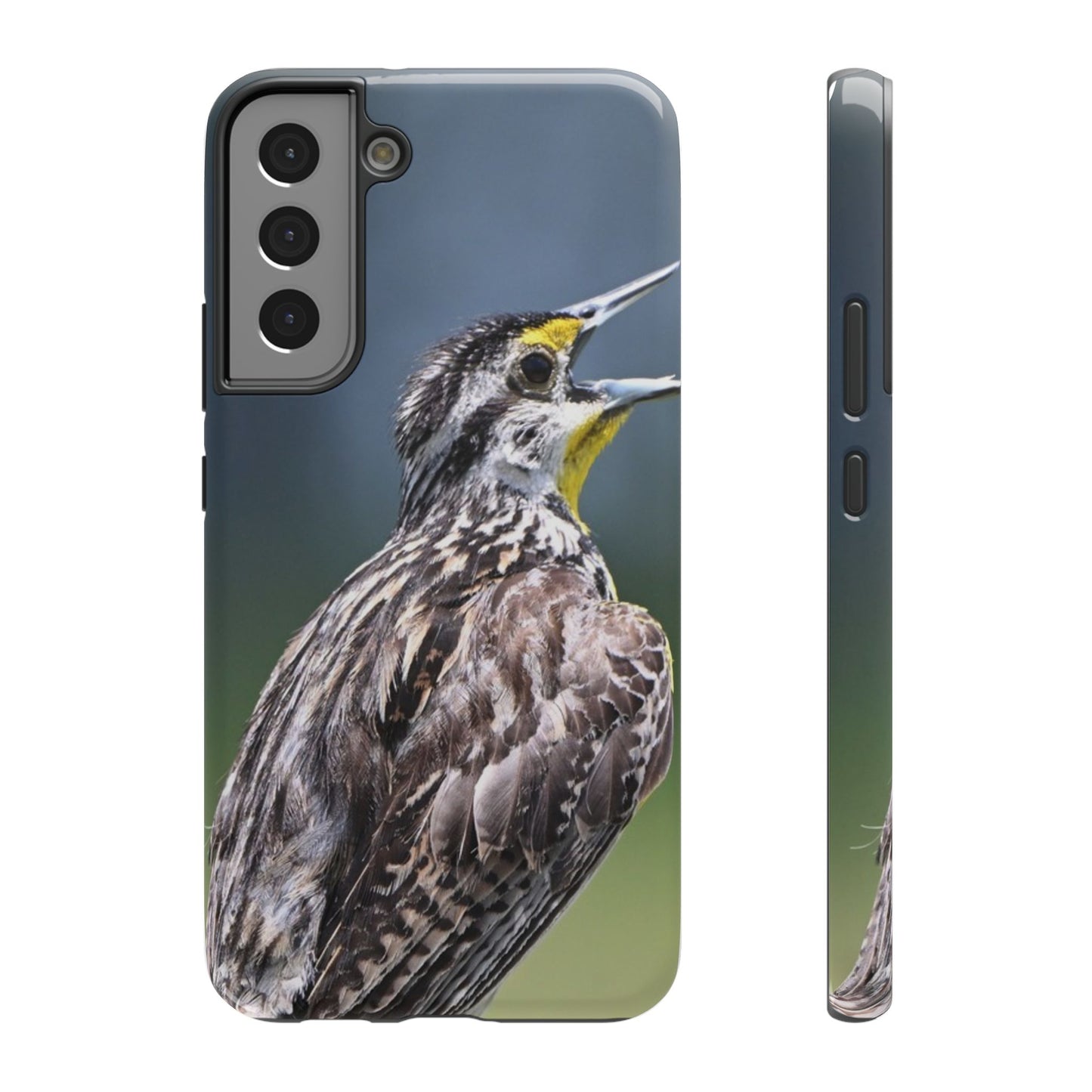 Western Meadowlark Photo Phone Case — Impact-Resistant Protective Cover