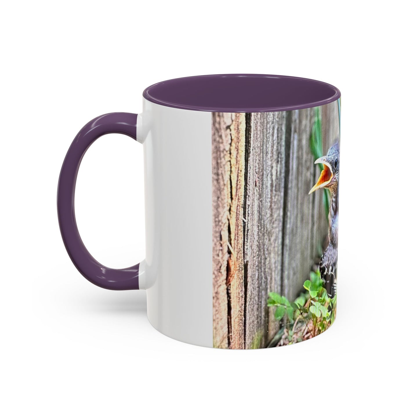 Charming Bird-Themed Coffee Mug, Perfect Gift for Bird Lovers, Nature Enthusiasts, Birdwatching, Home Decor, Birthday Present