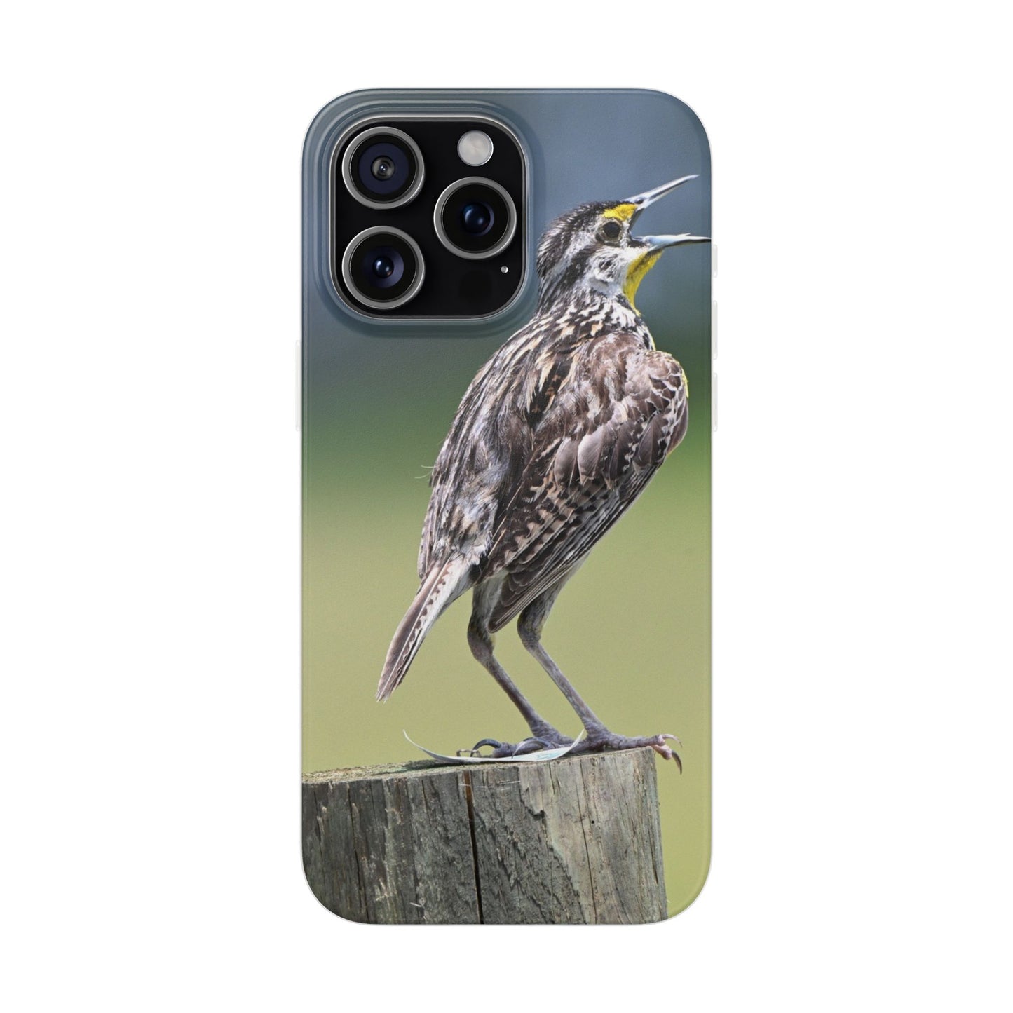 Singing Meadowlark Phone Case – Nature Bird Photo Flexi Case