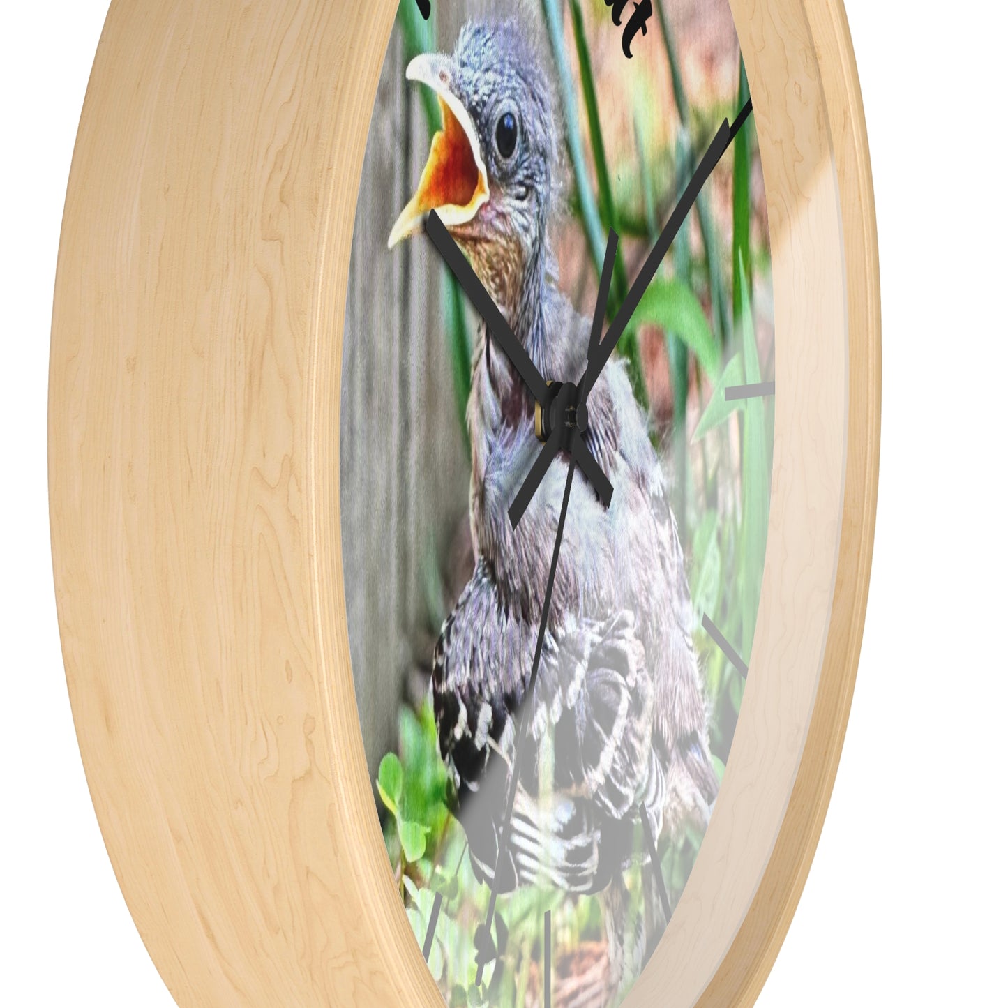 Nature-Inspired Wall Clock, Time to Eat Bird Clock, Home Decor for Bird Lovers, Gift for Nature Enthusiasts, Unique Wall Art