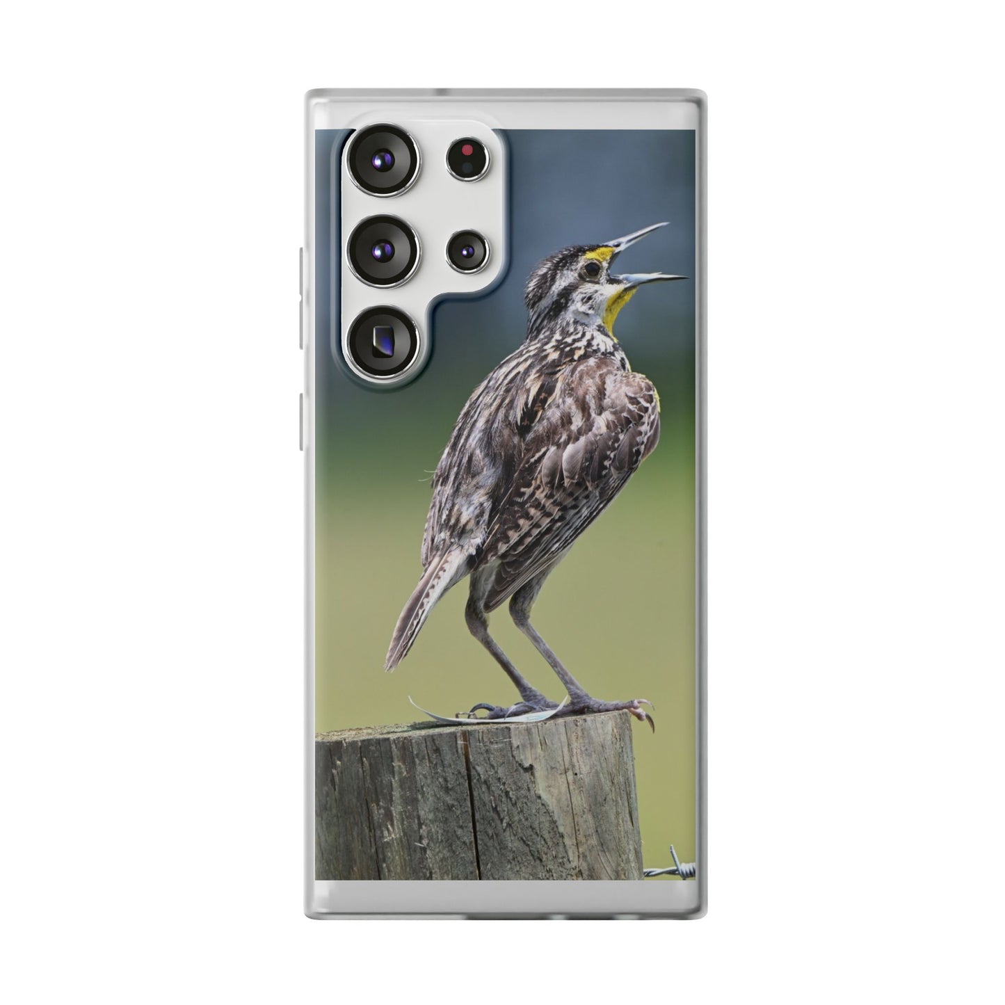 Singing Meadowlark Phone Case – Nature Bird Photo Flexi Case