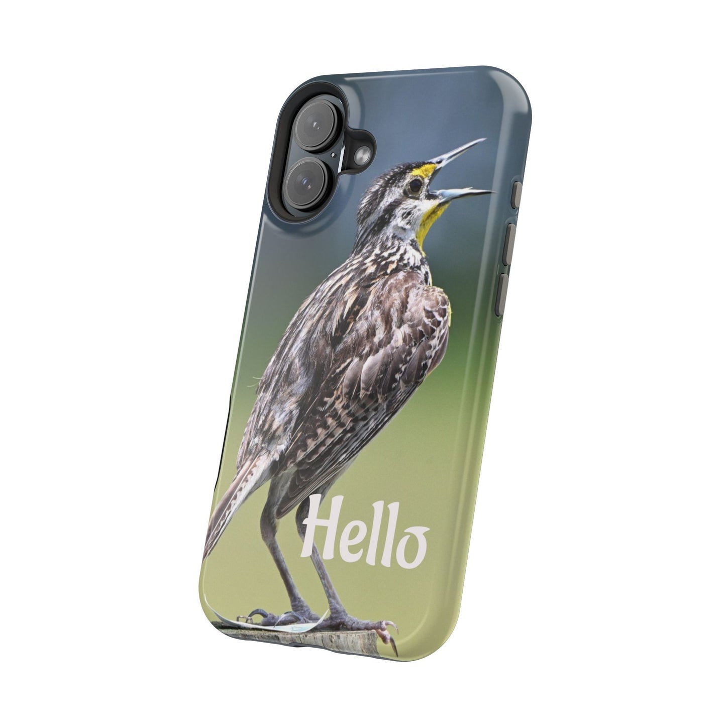 Bird-Themed Magnetic Tough Cases with 'Hello', Stylish Phone Protectors, Gifts for Nature Lovers, Birdwatching Accessories, Wildlife [...]