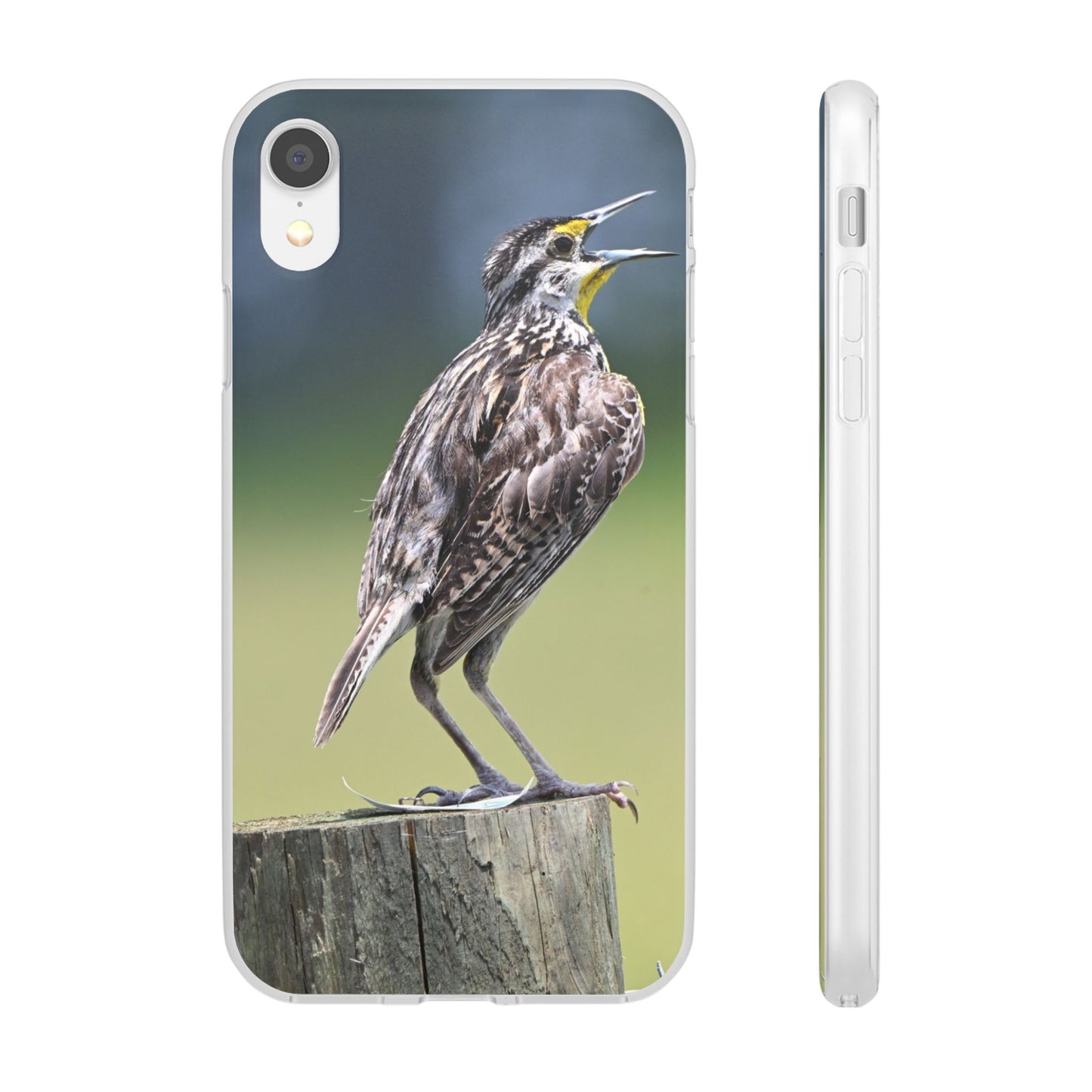 Singing Meadowlark Phone Case – Nature Bird Photo Flexi Case